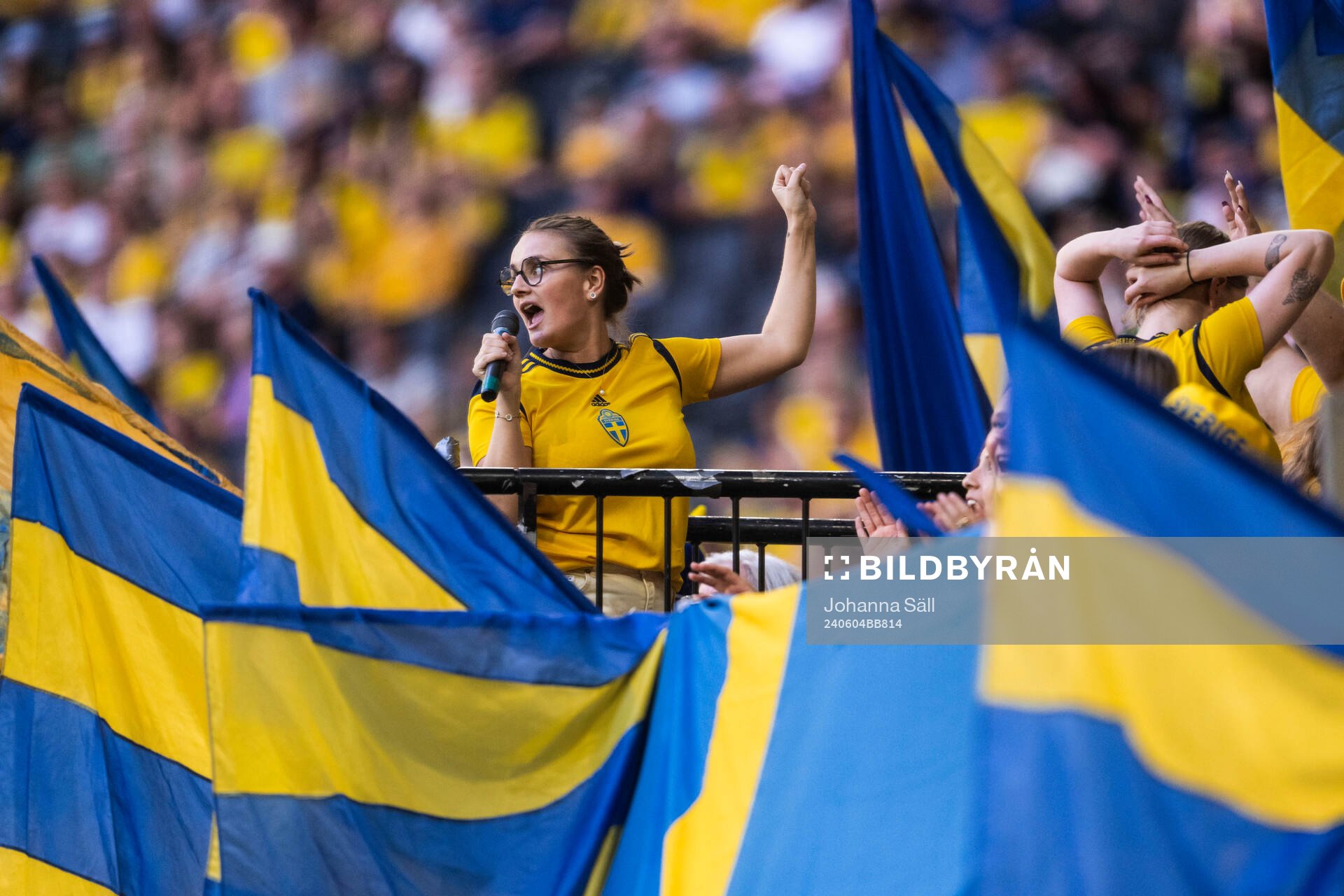 Fans of Sweden