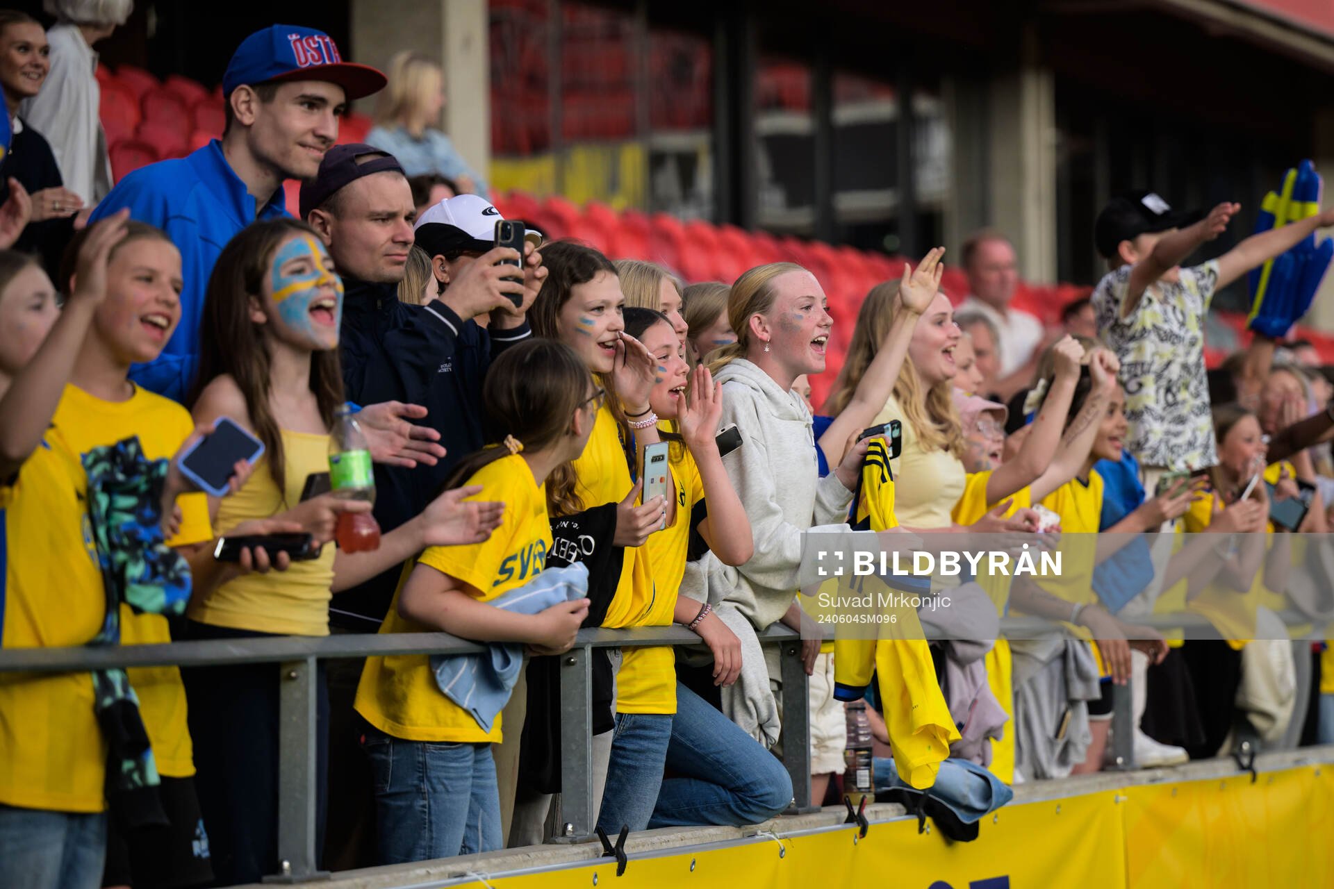 Fans of Sweden