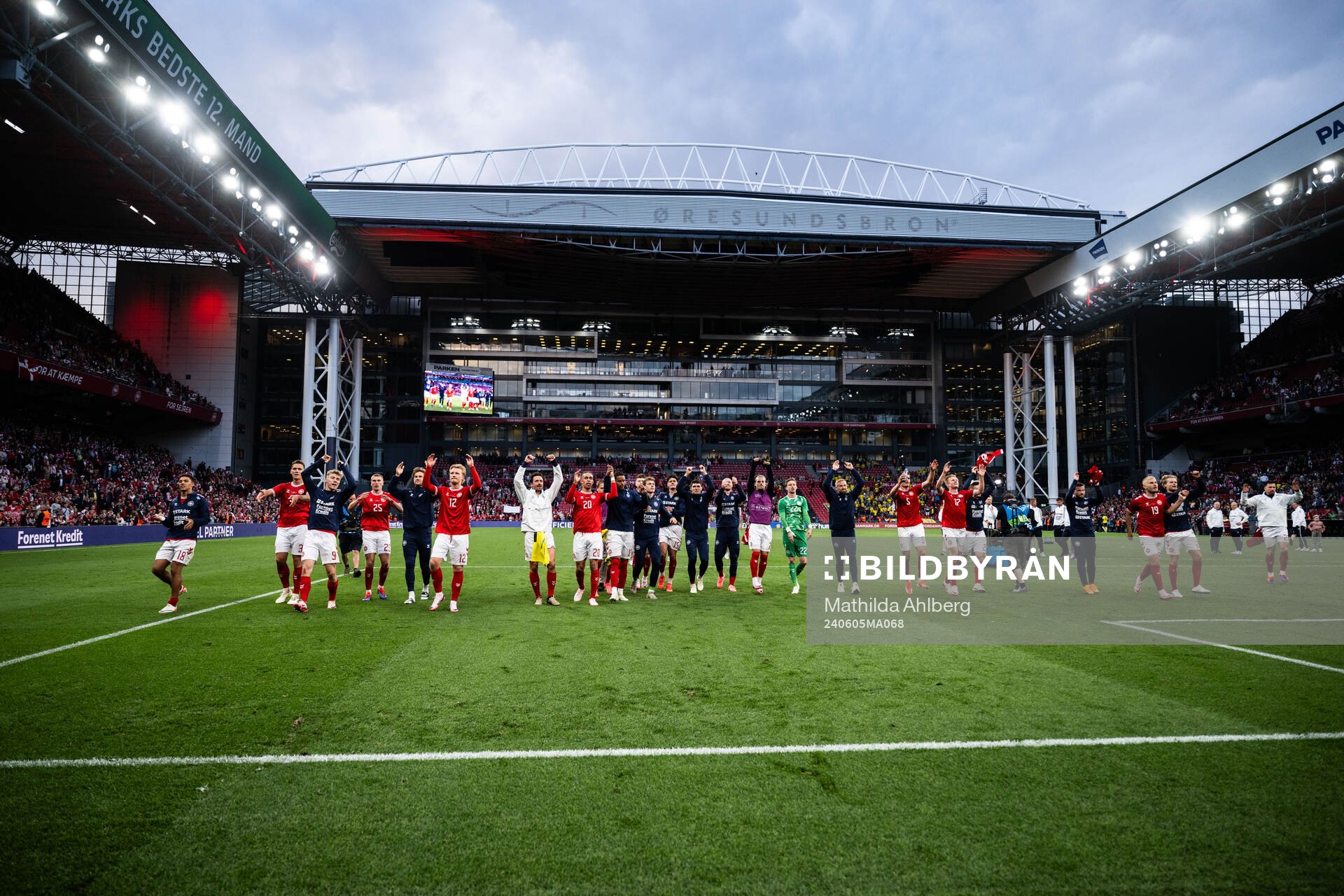 Players of Denmark celebrate
