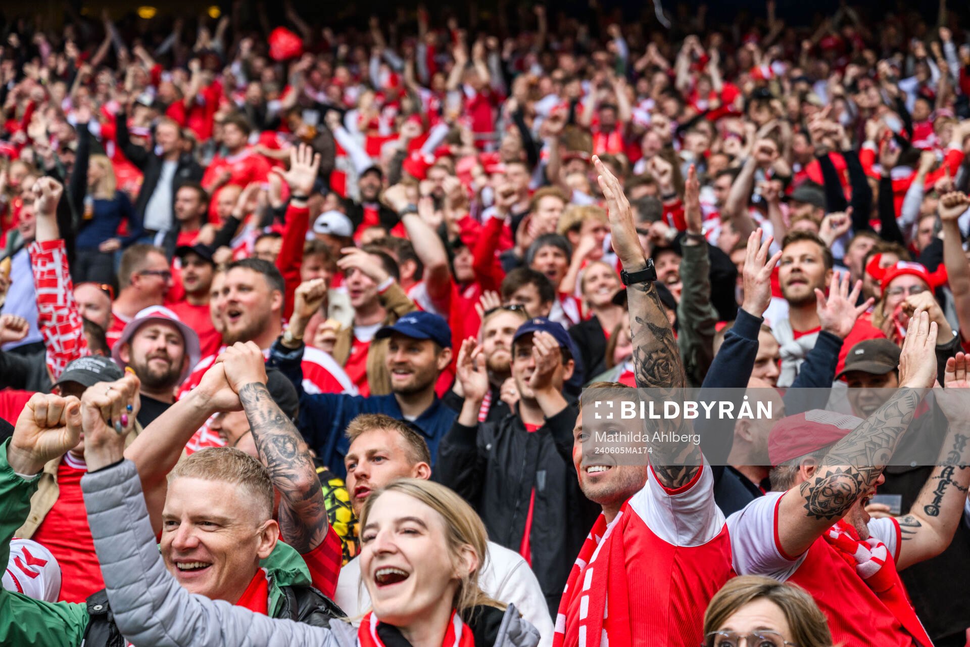Fans of Denmark celebrate 1-0