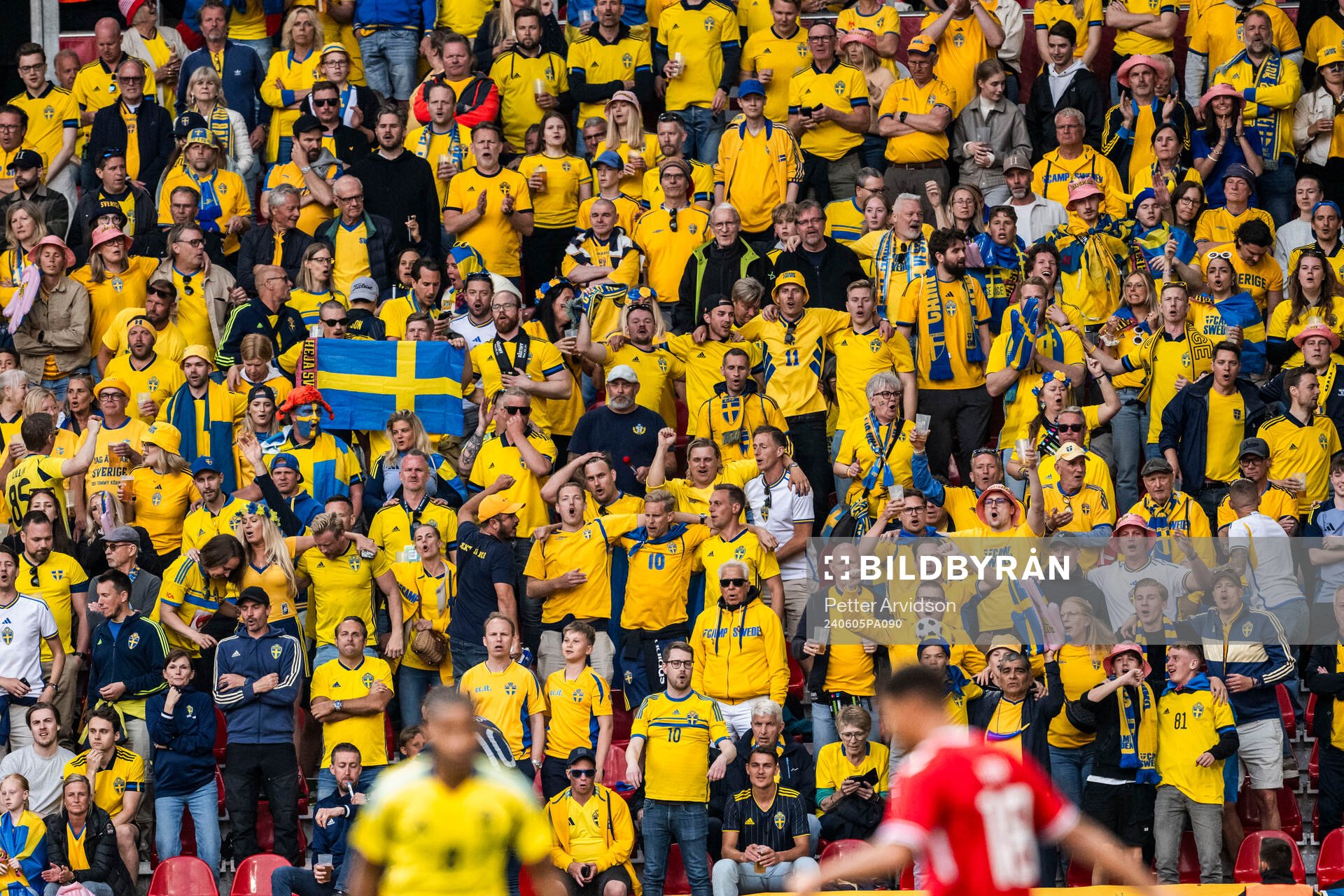 Fans of Sweden
