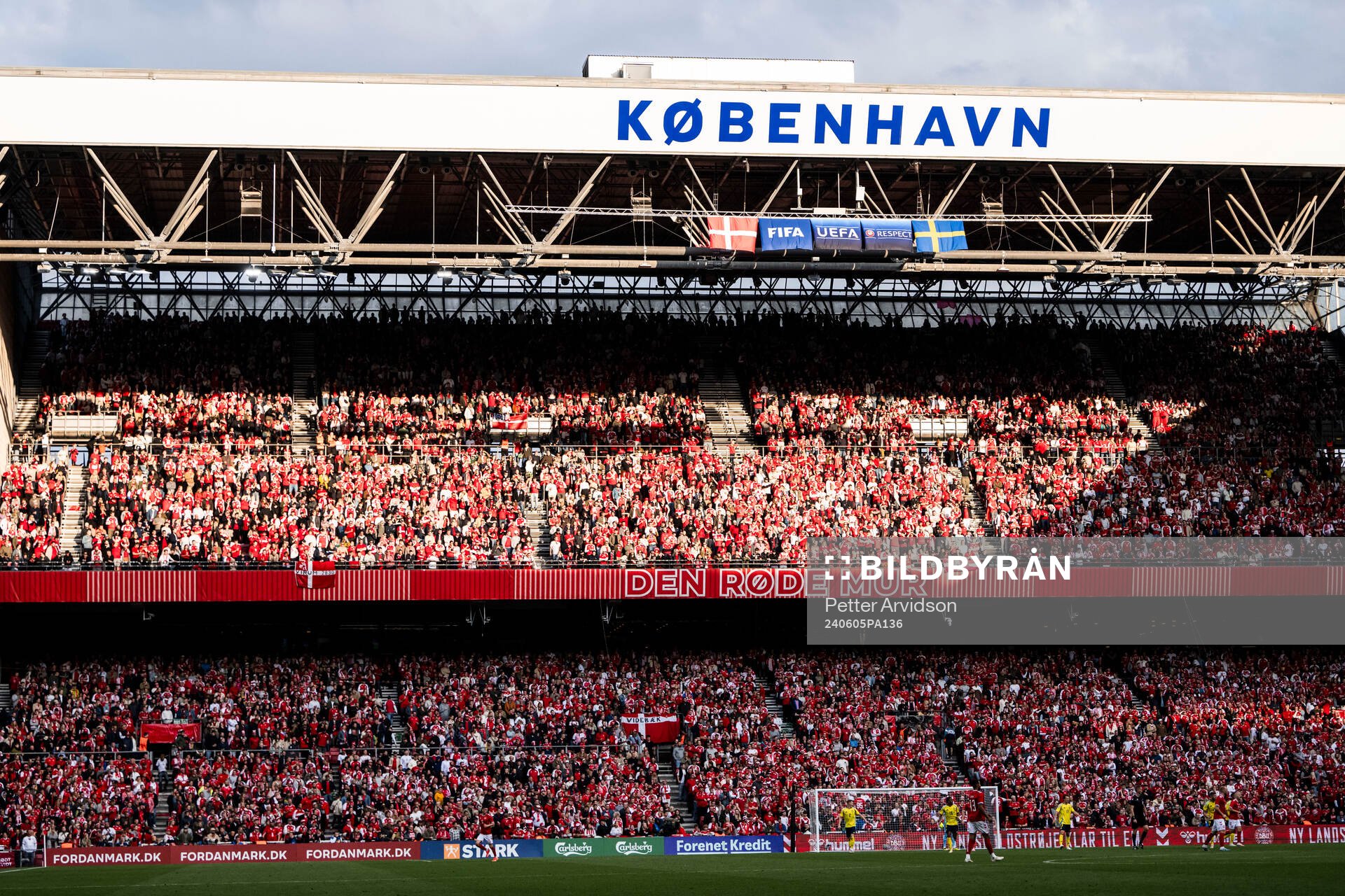 Fans of Denmark