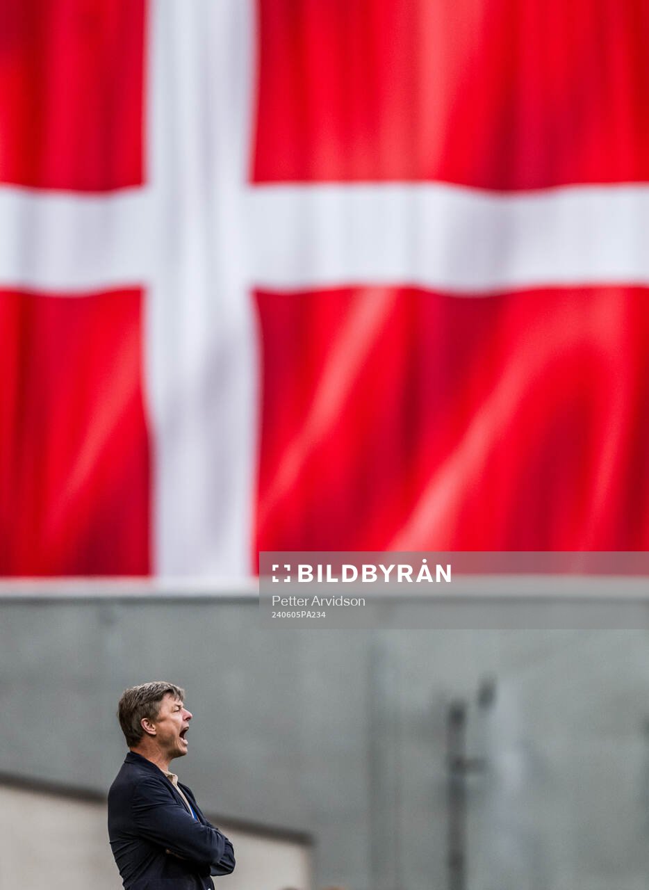 Head coach Jon Dahl Tomasson of Sweden