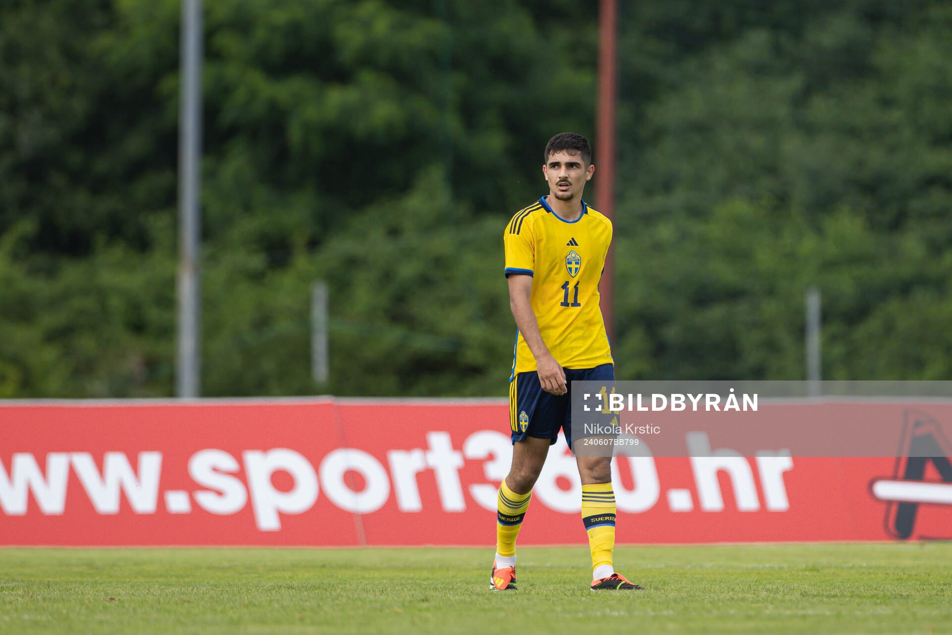 Aimar Sher of Sweden