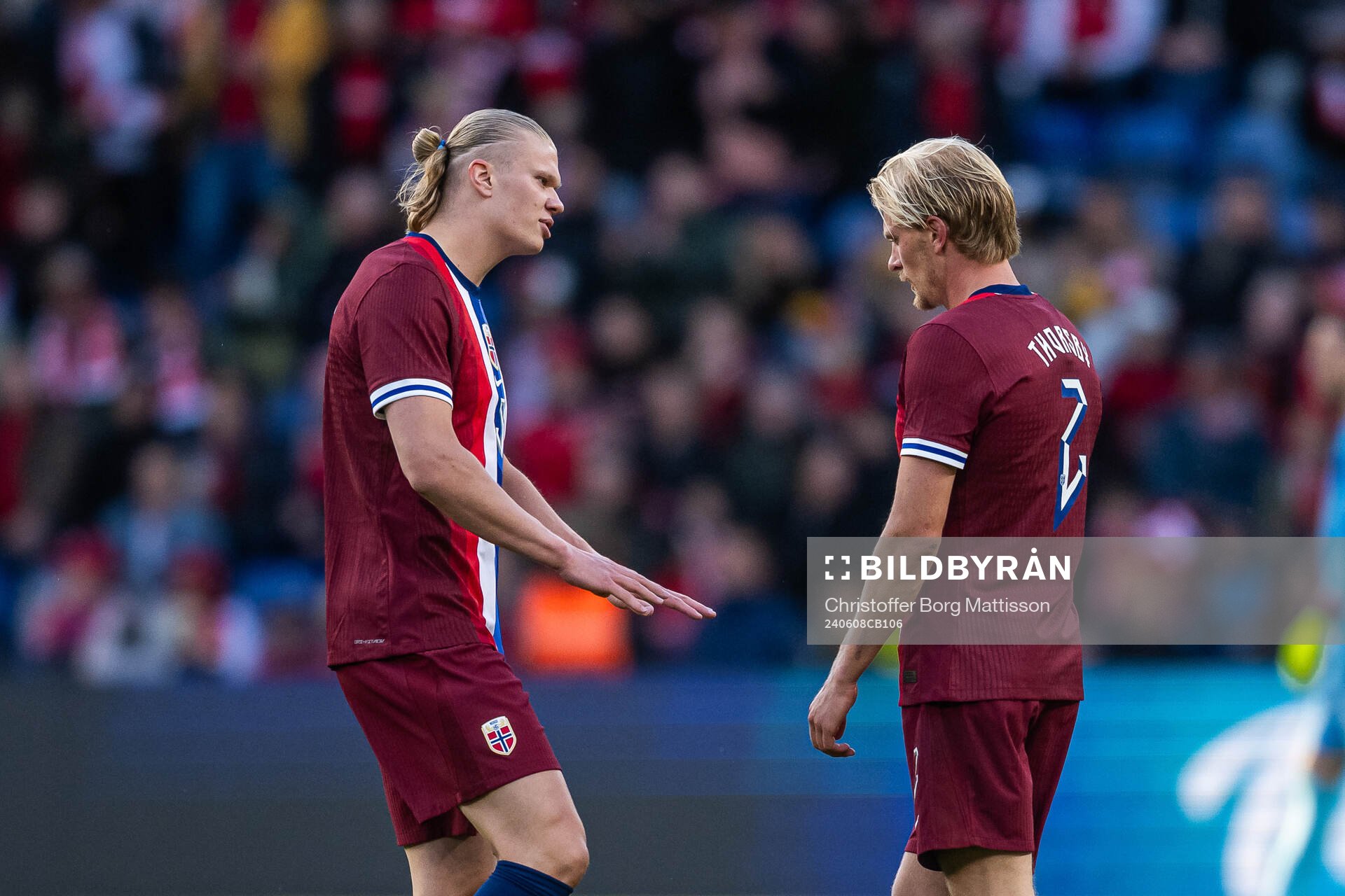Erling Braut Haaland and Morten Thorsby of Norway look