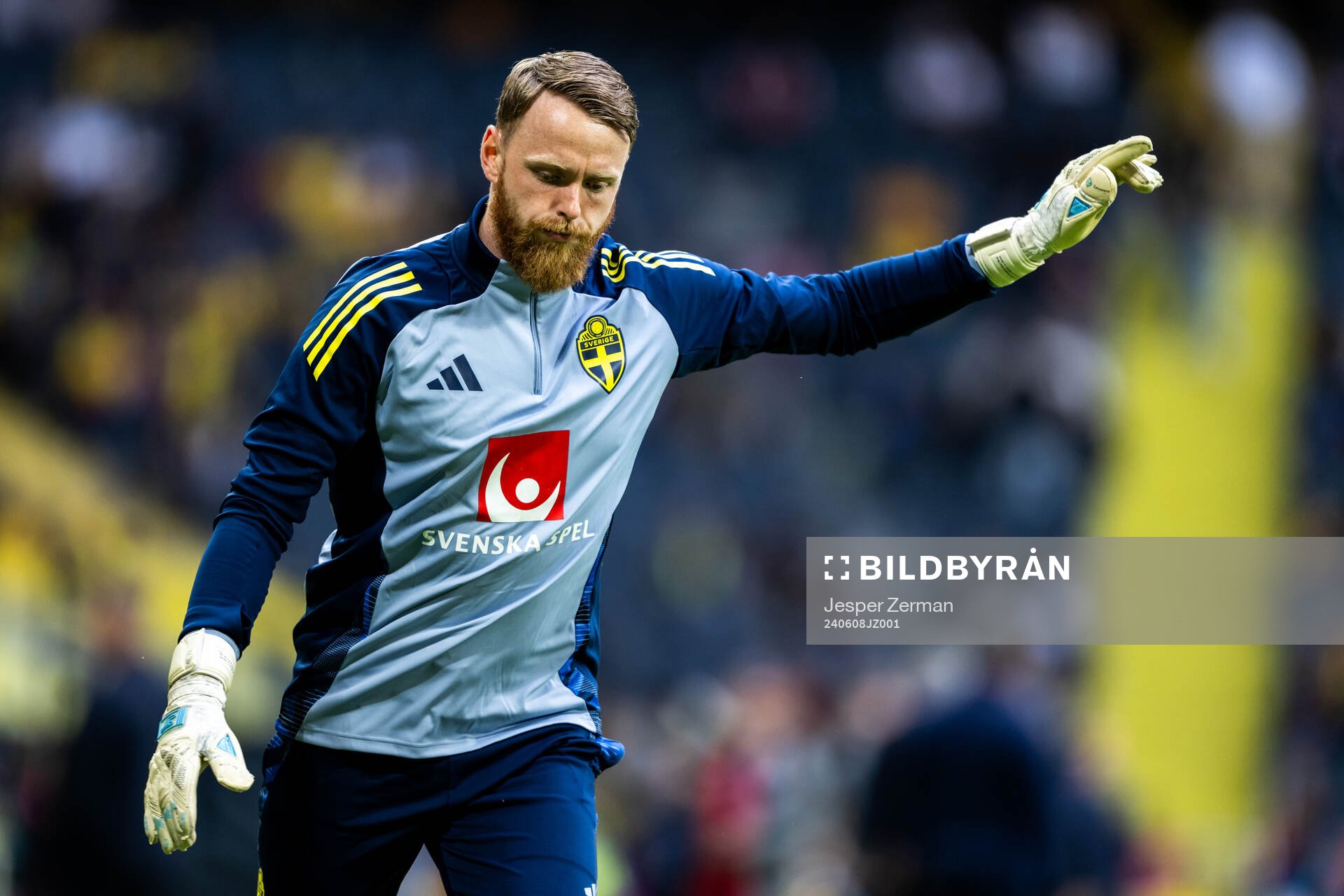 Goalkeeper Viktor Johansson of Sweden