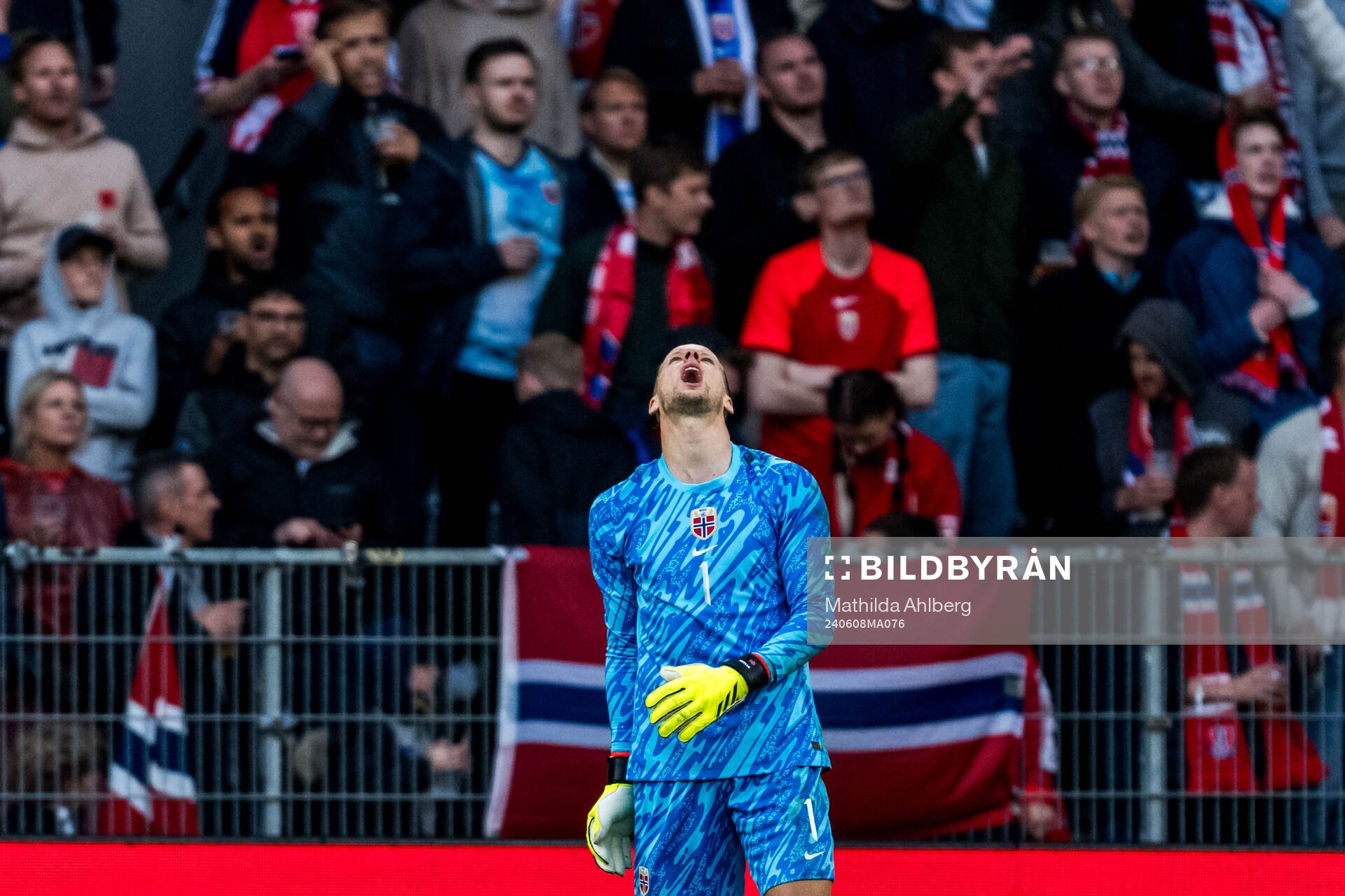 Goalkeeper Ørjan Håskjold Nyland of Norway looks dejected