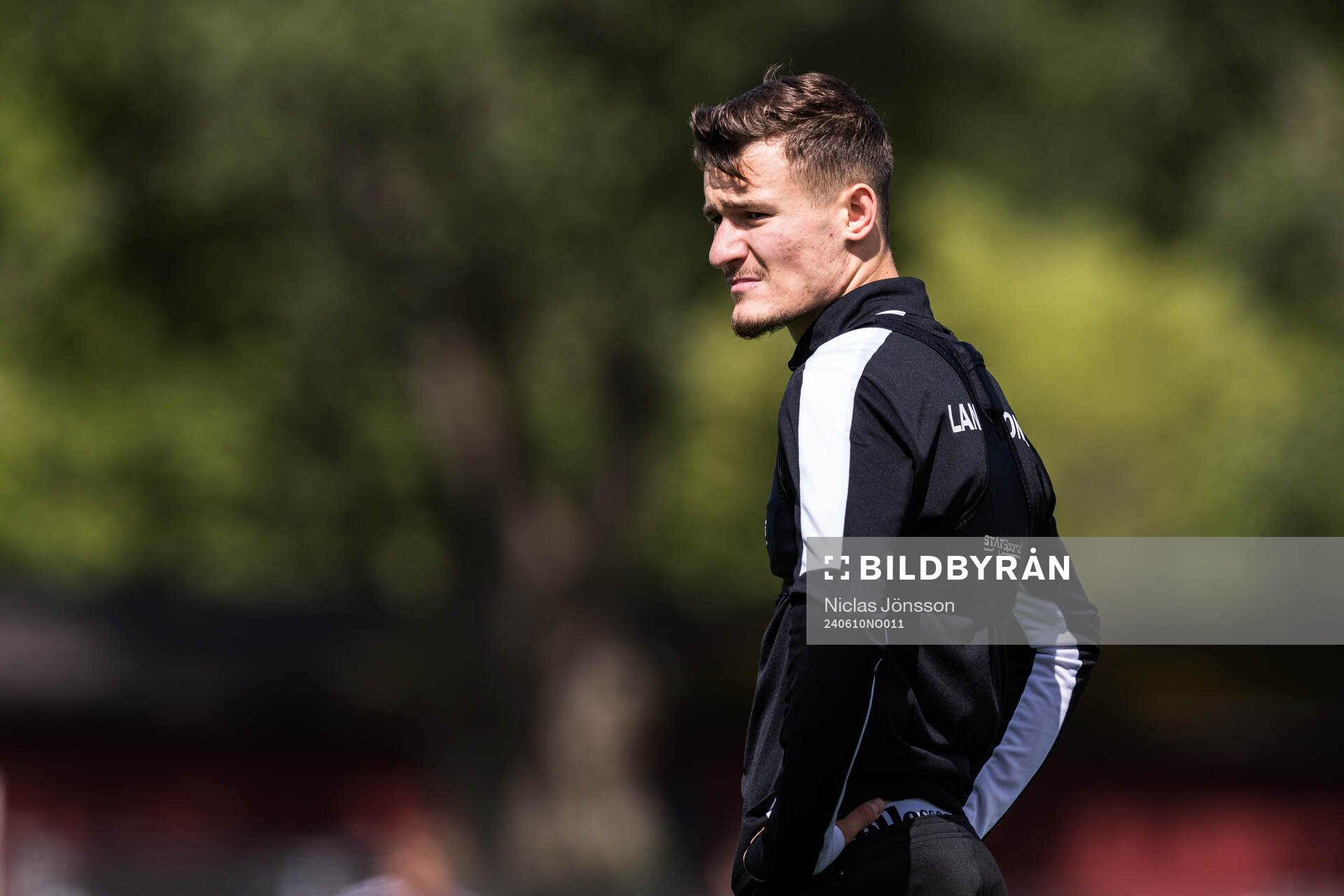 Robin Dzabic