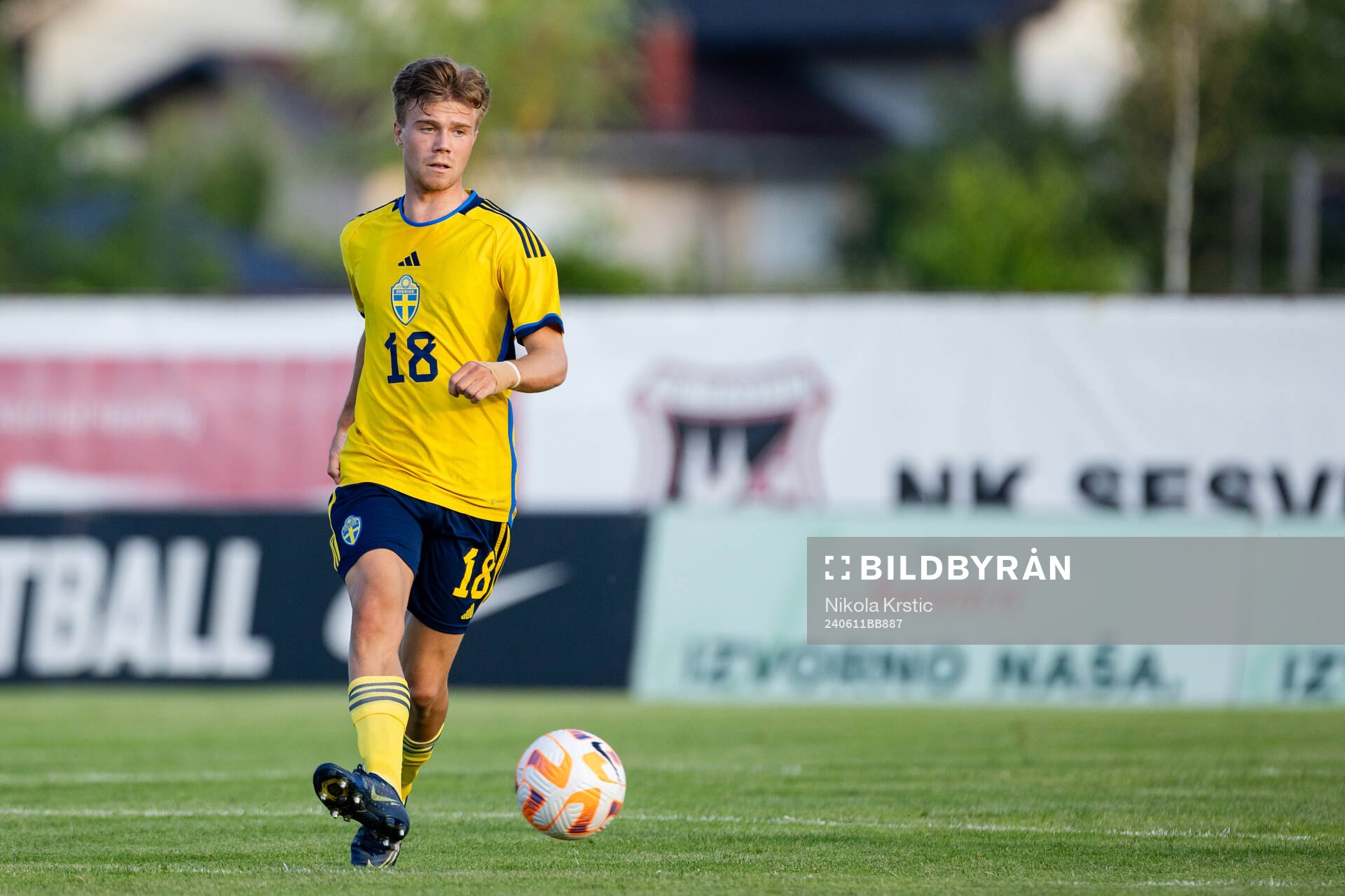 Wilmer Odefalk  of Sweden