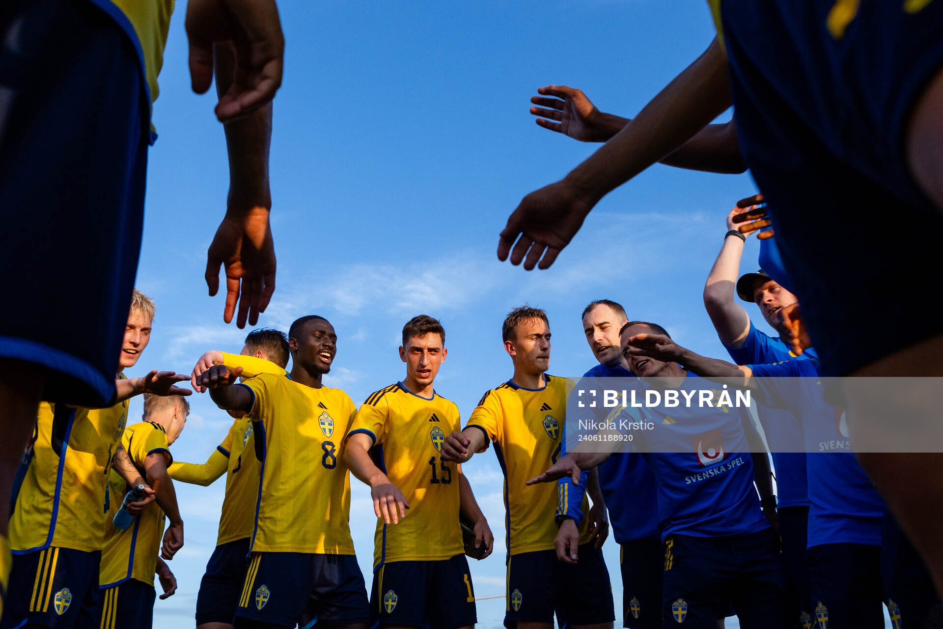 Players of Sweden