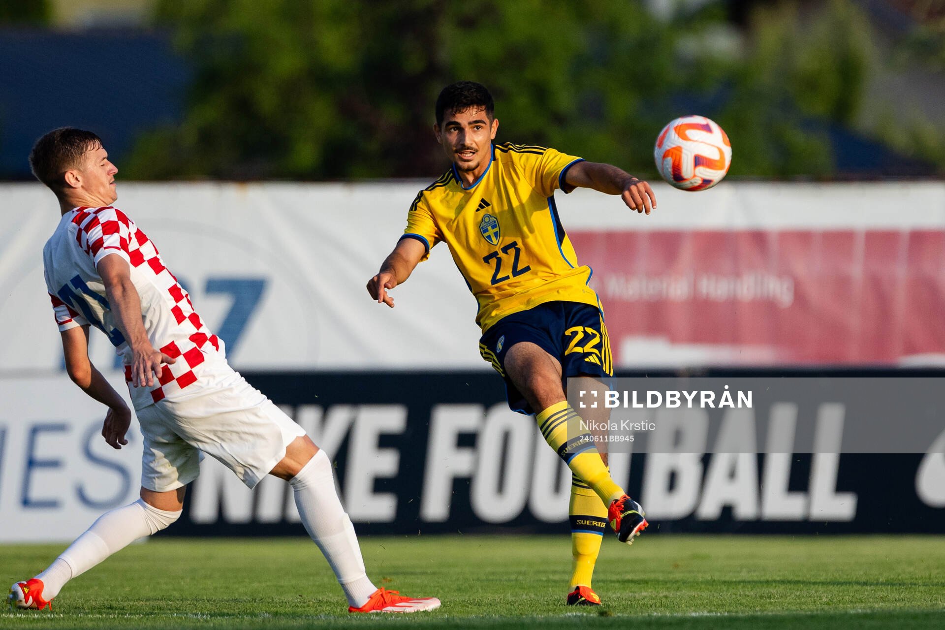 Aimar Sher of Sweden