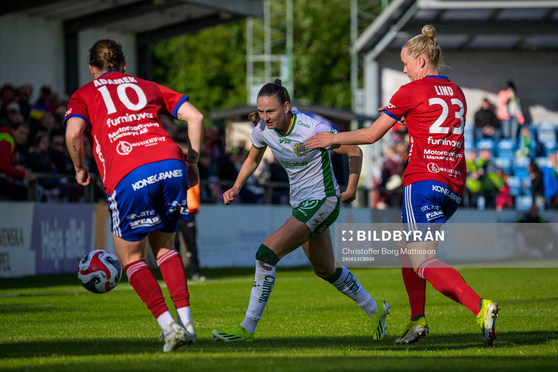 Hammarbys Vilde Hasund