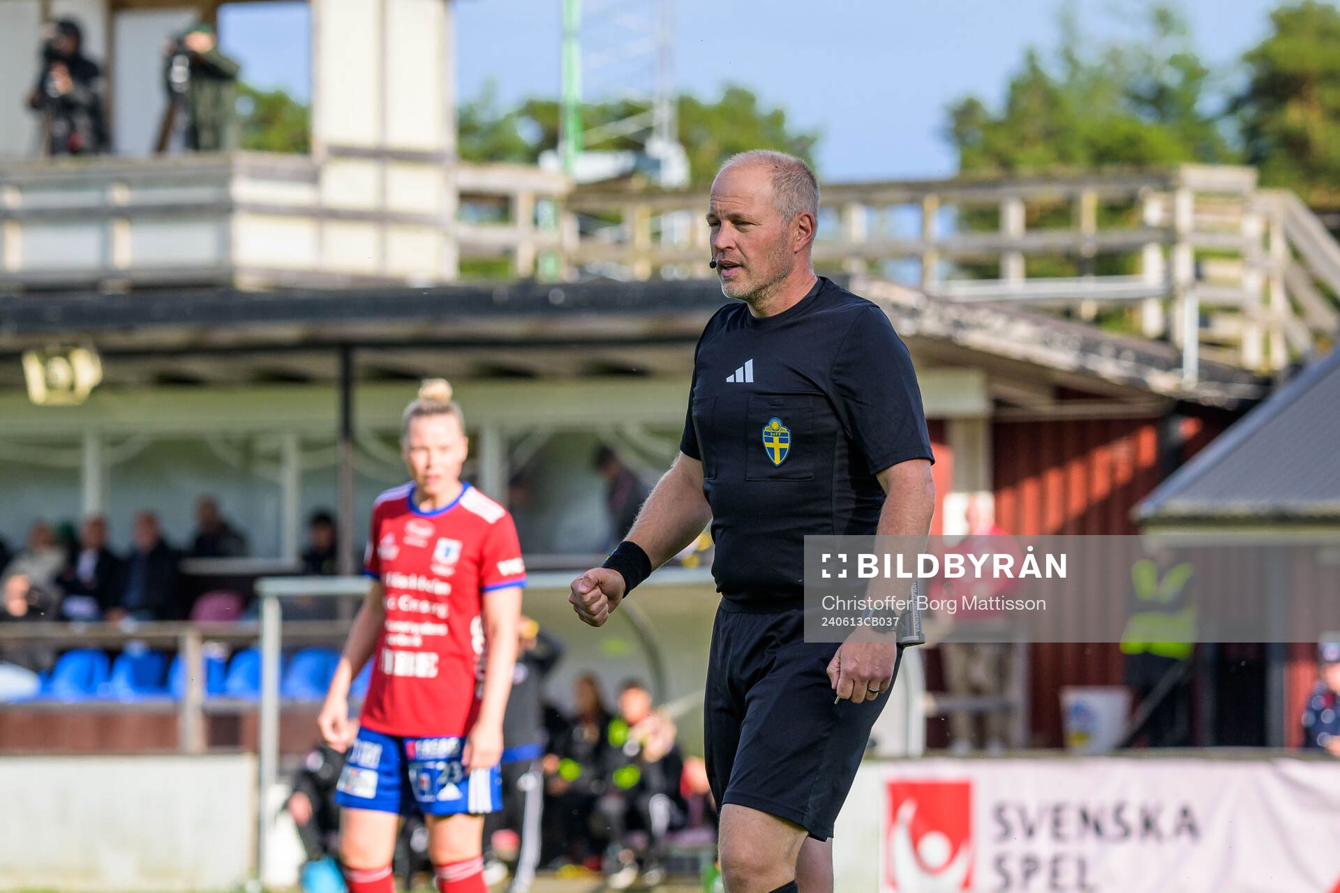 Domare Niklas Olsson