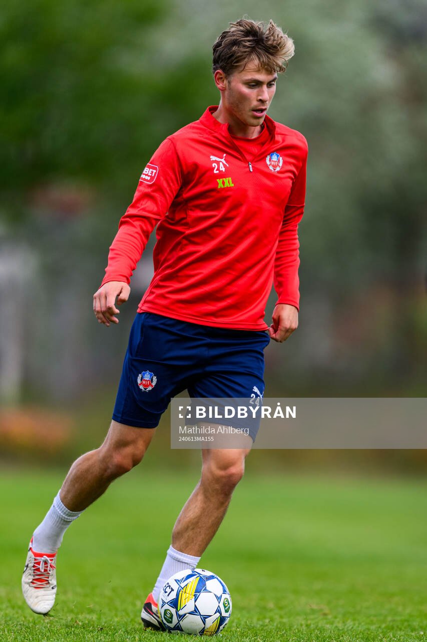 Daniel Bergman