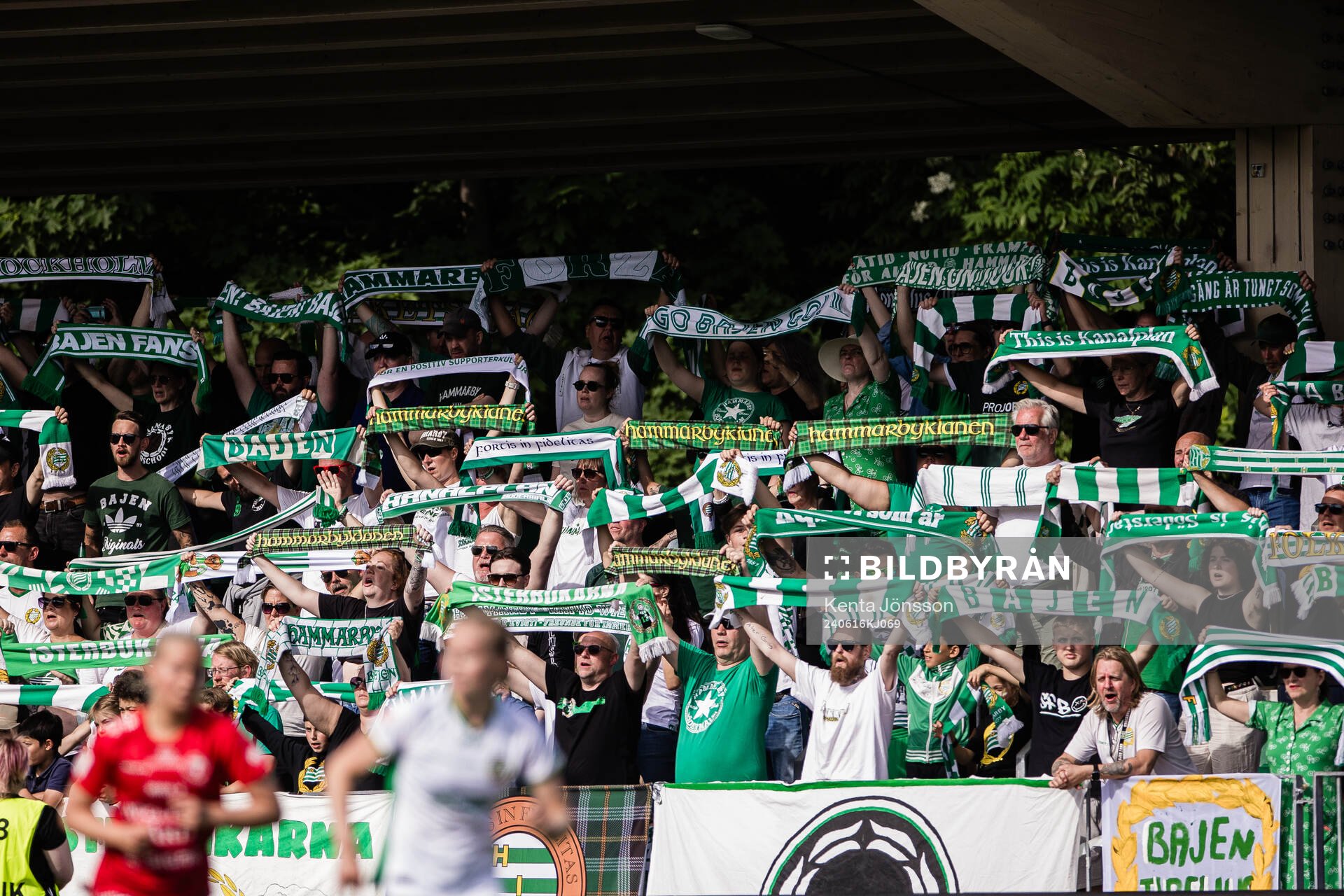 Hammarbys supportrar