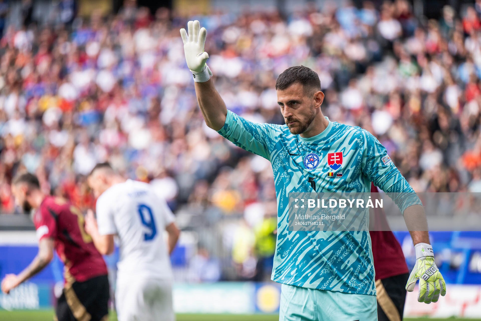 goalkeeper Martin Dubravka of Slovakia