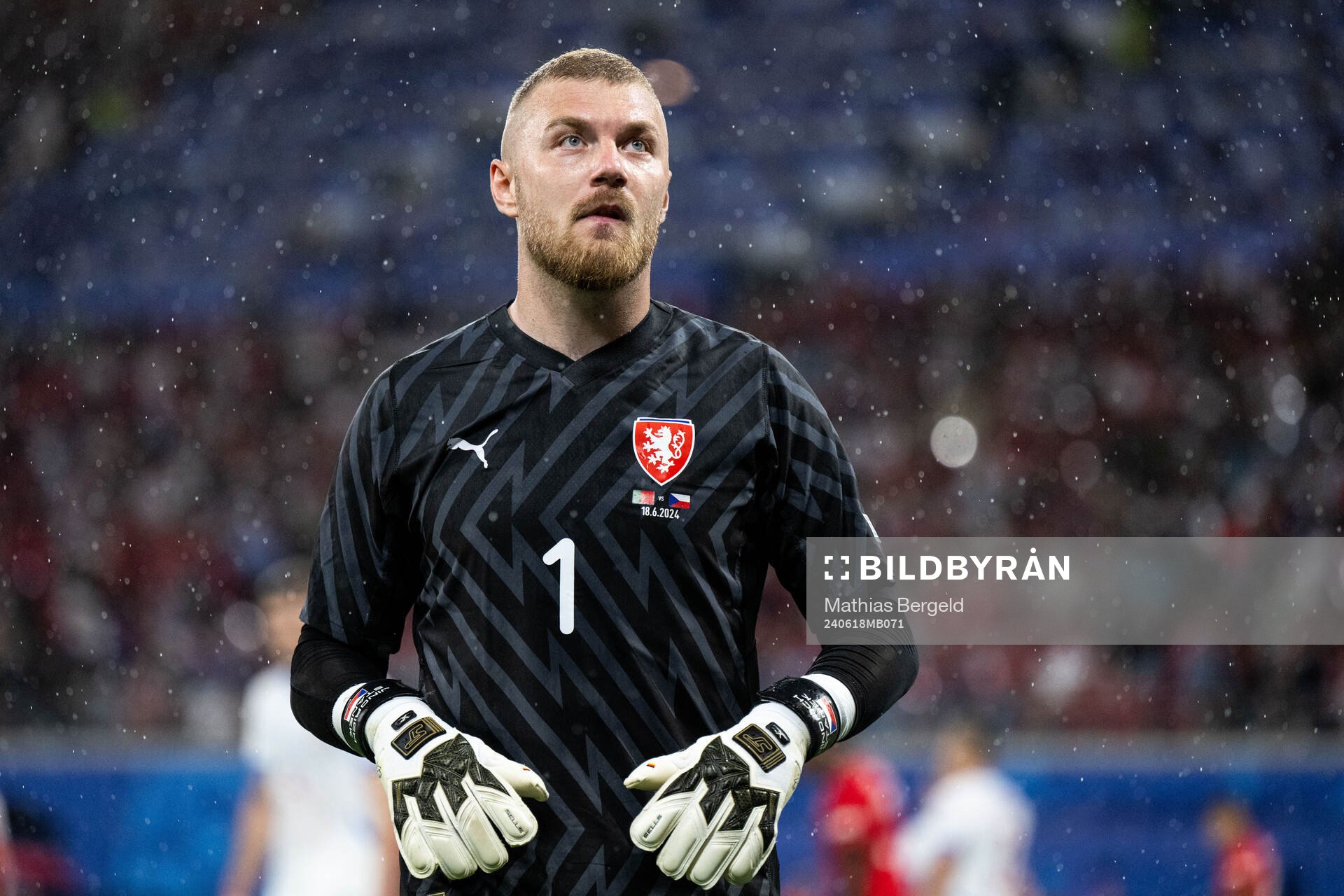 Goalkeeper Jindfich Stanek of Czech Republic