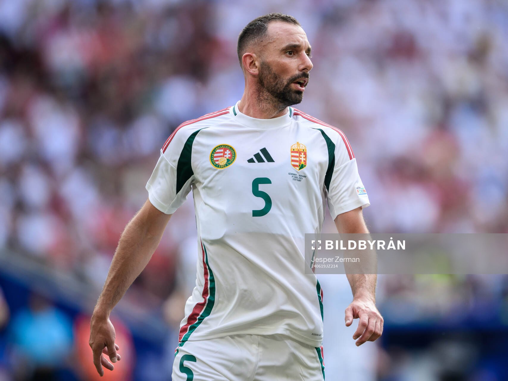 Attila Fiola of Hungary