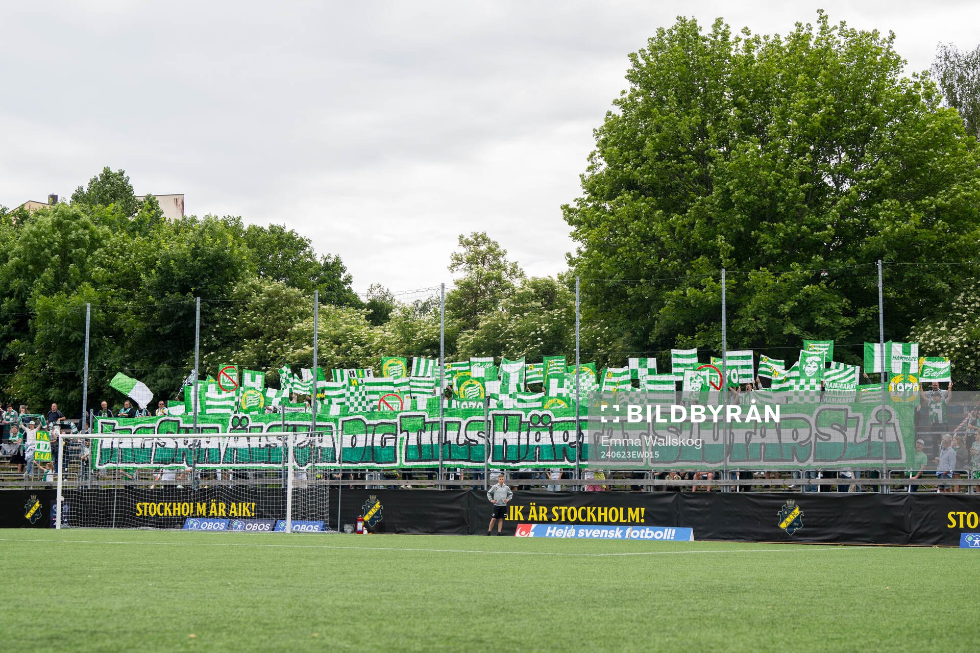 Hammarbys supportrar