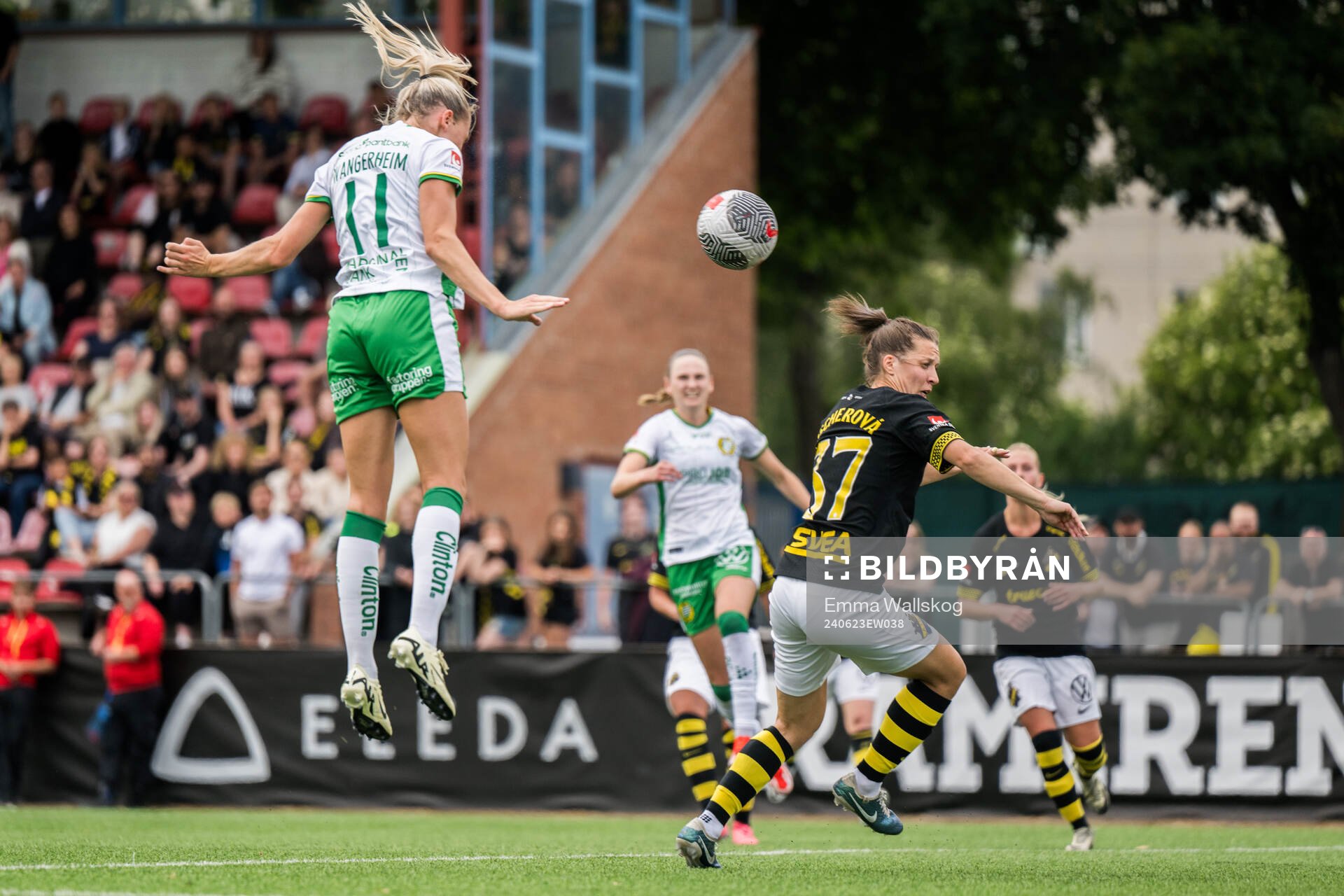 Hammarbys Ellen Wangerheim