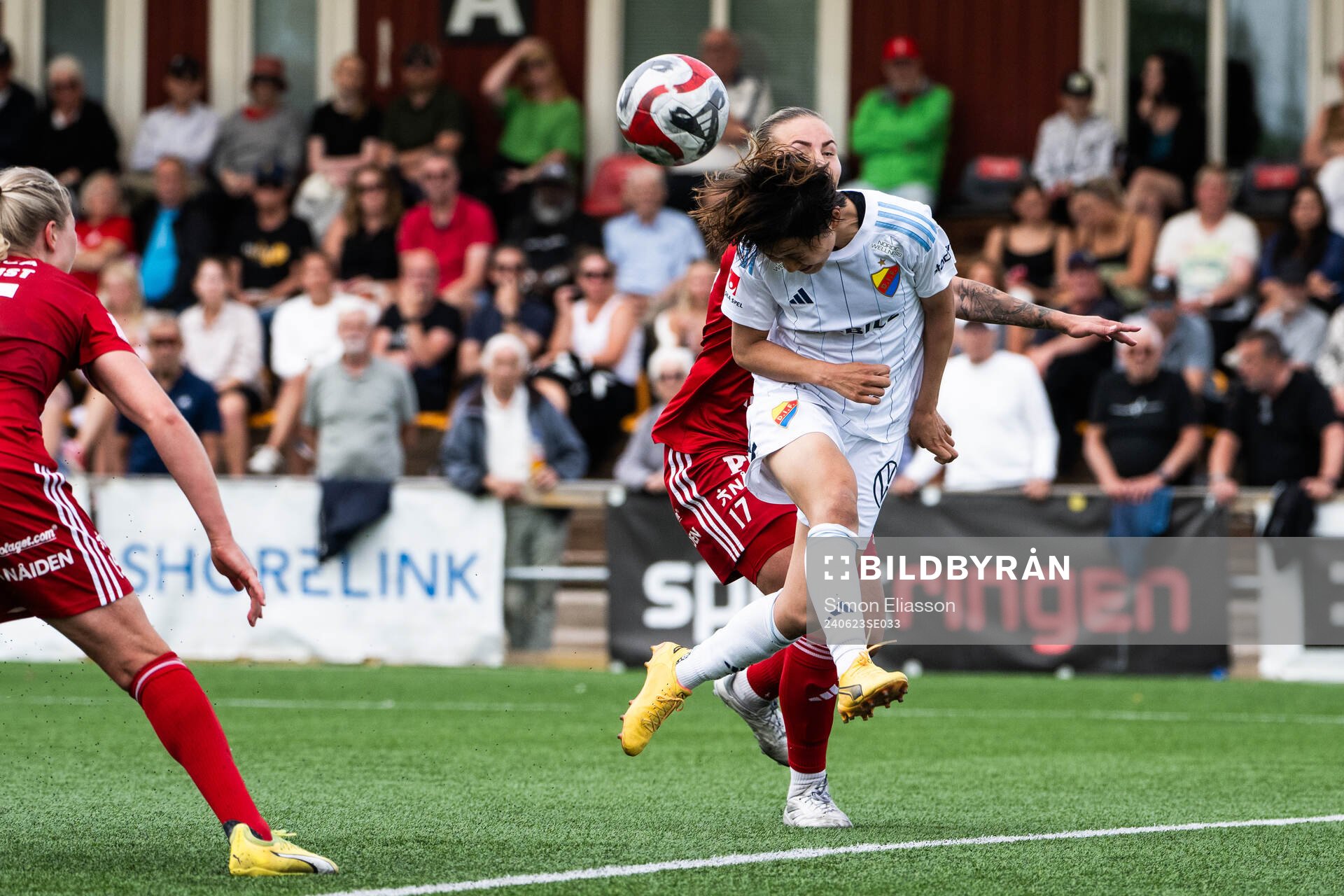 Djurgårdens Shinomi Koyama