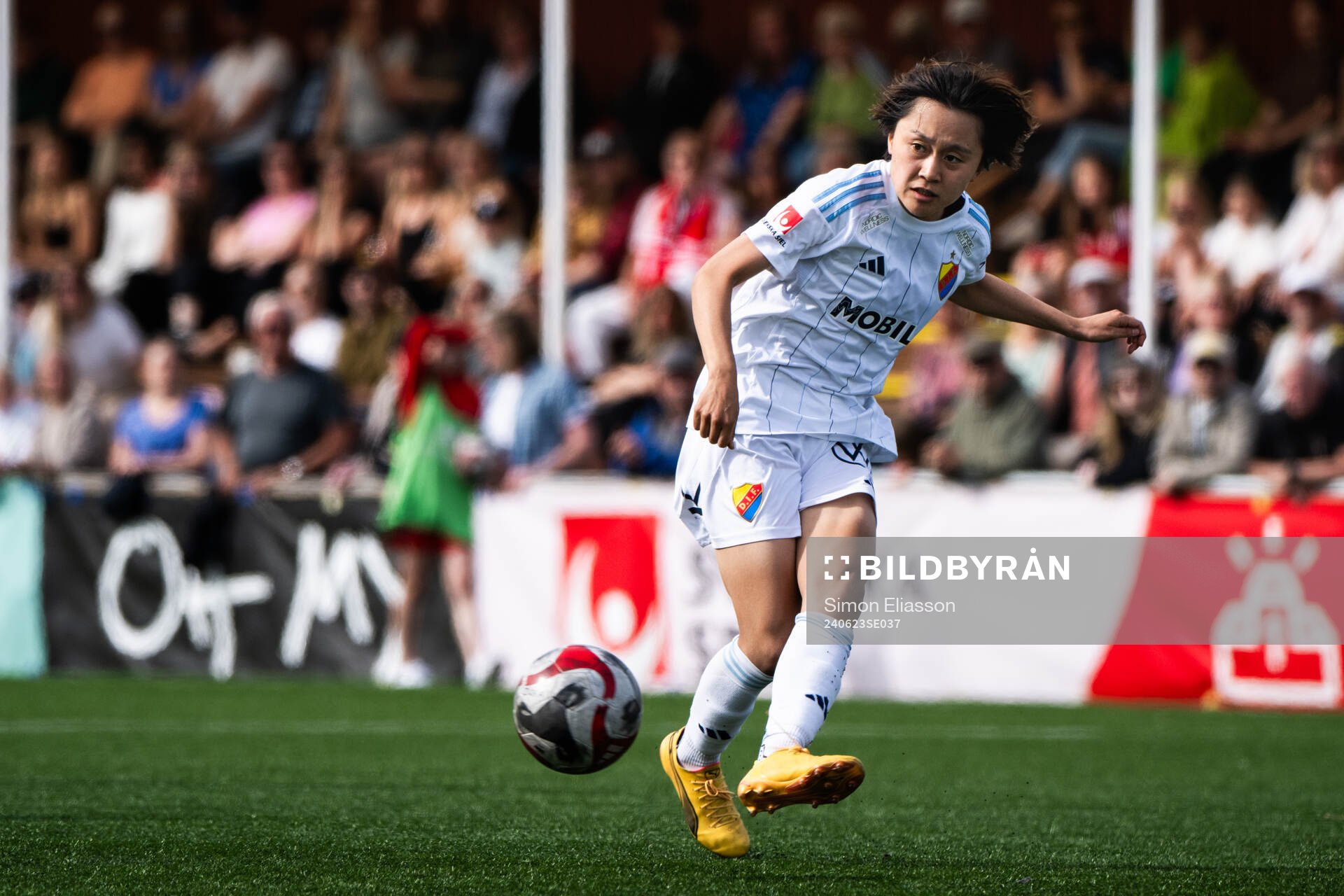 Djurgårdens Shinomi Koyama