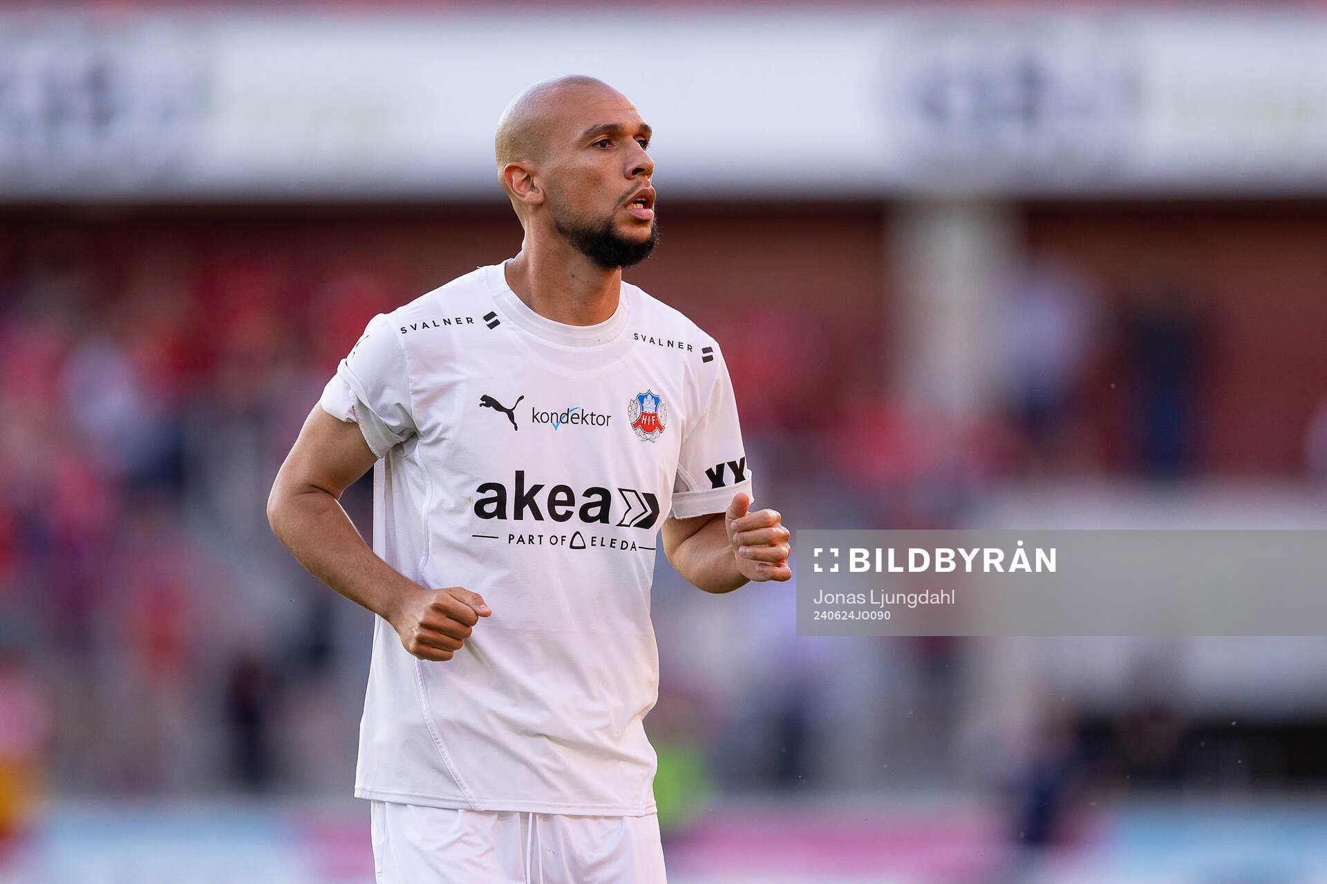 Helsingborgs Sumar Almadjed