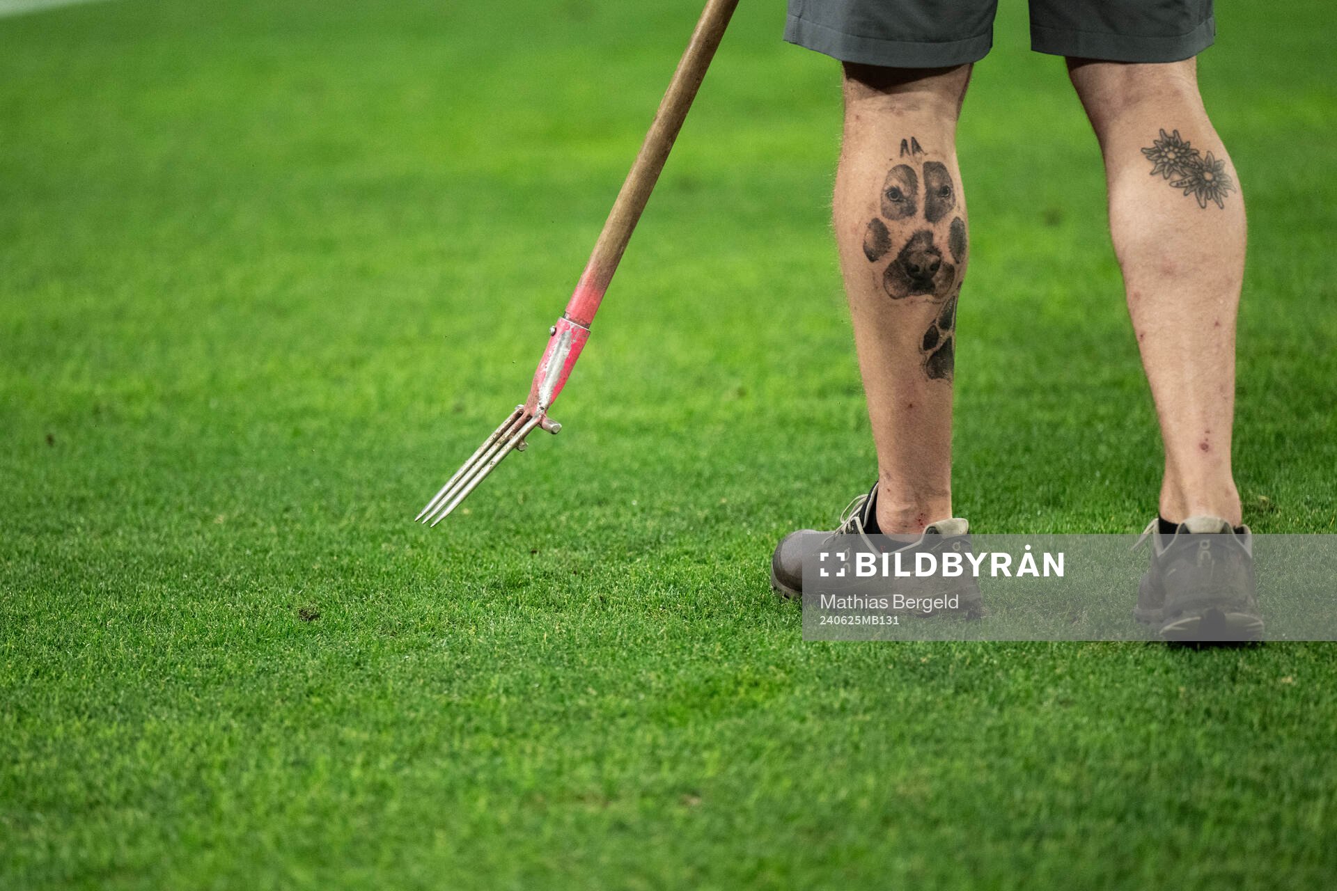Pitch curator