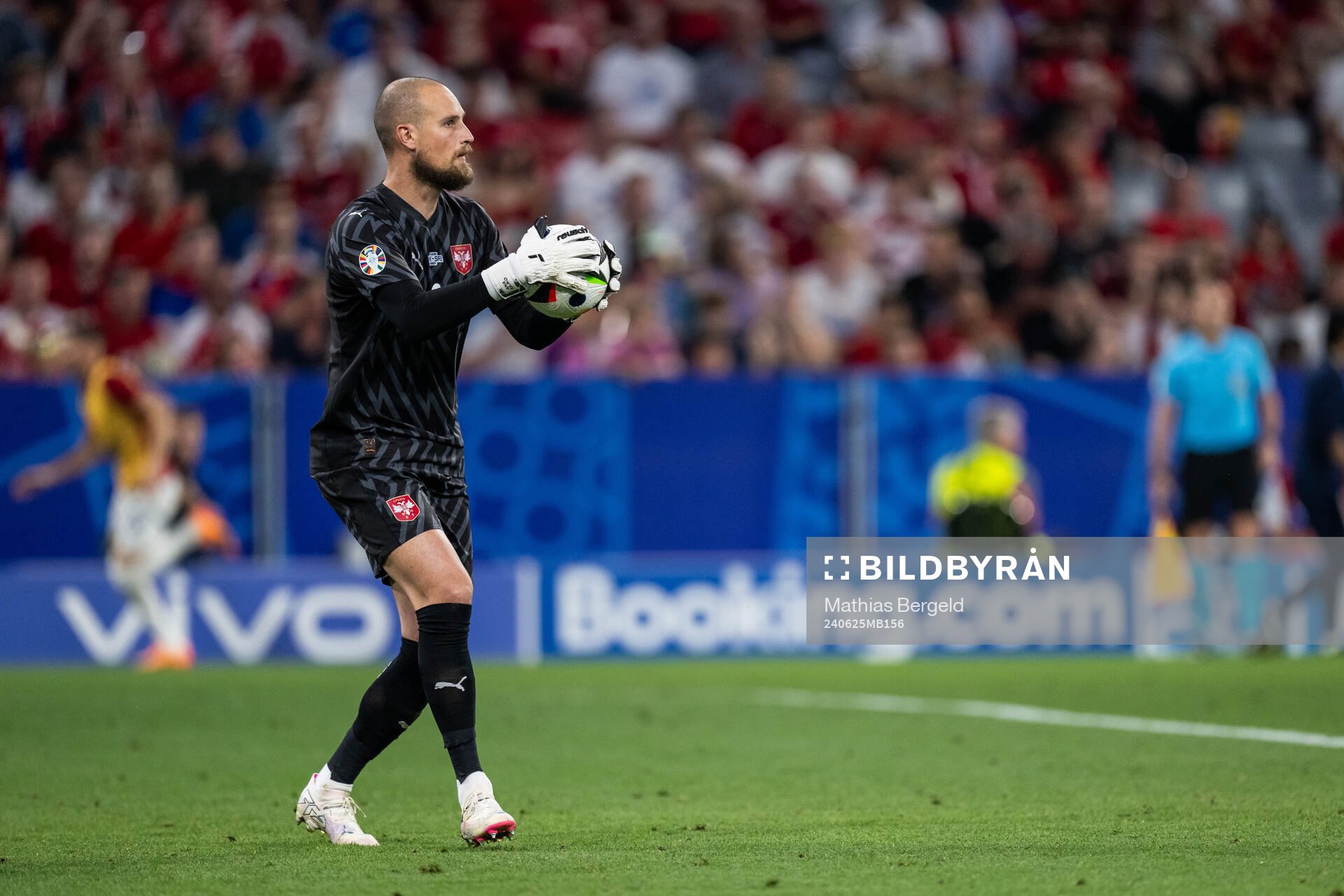 Goalkeeper Predrag Rajkovic of Serbia during the UEFA Euro 2024 Football Championship match between Denmark and Serbia on June 25, 2024 in Munich.