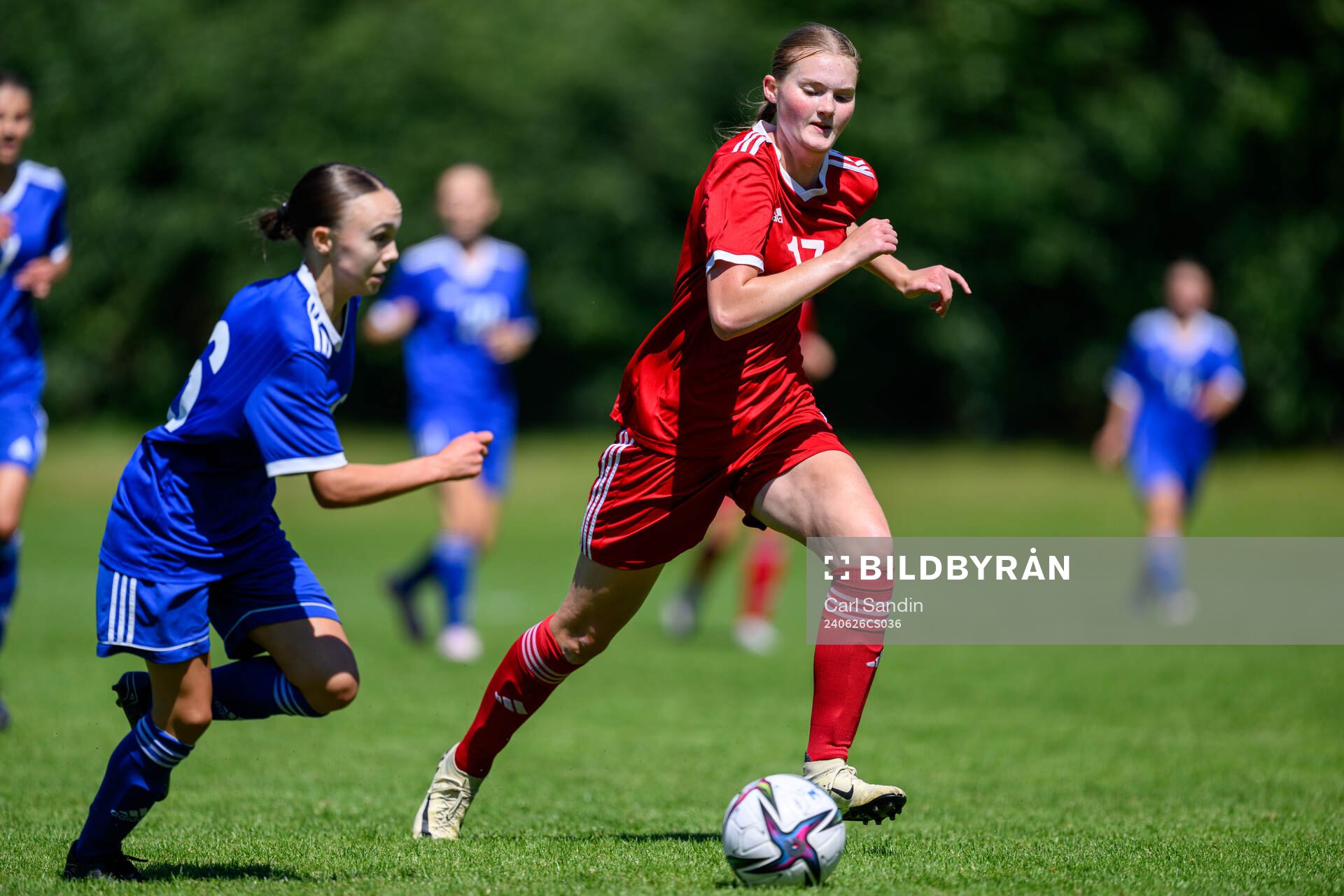 Maja Kjellberg, Hammarby IF FF