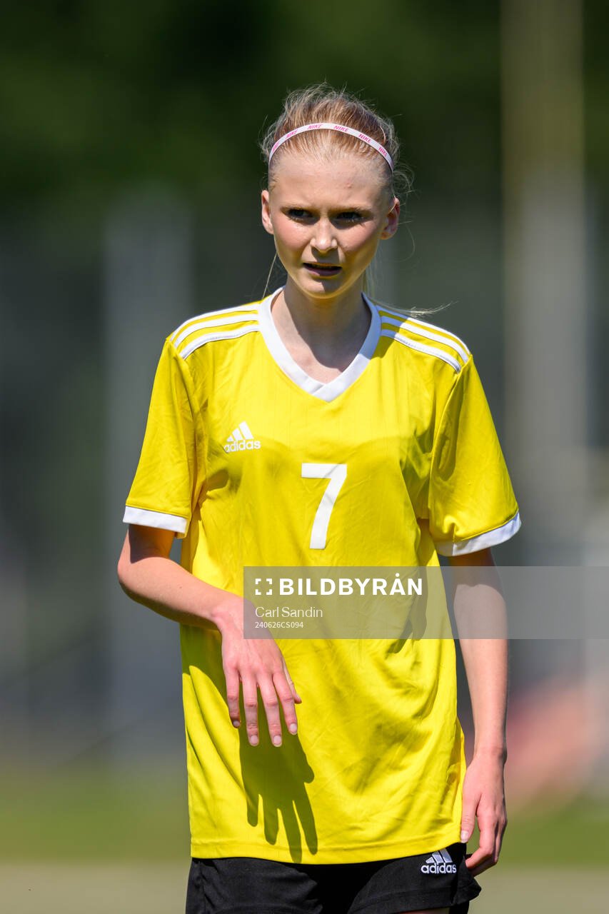 Alice Elb, Västerviks damfotboll IF