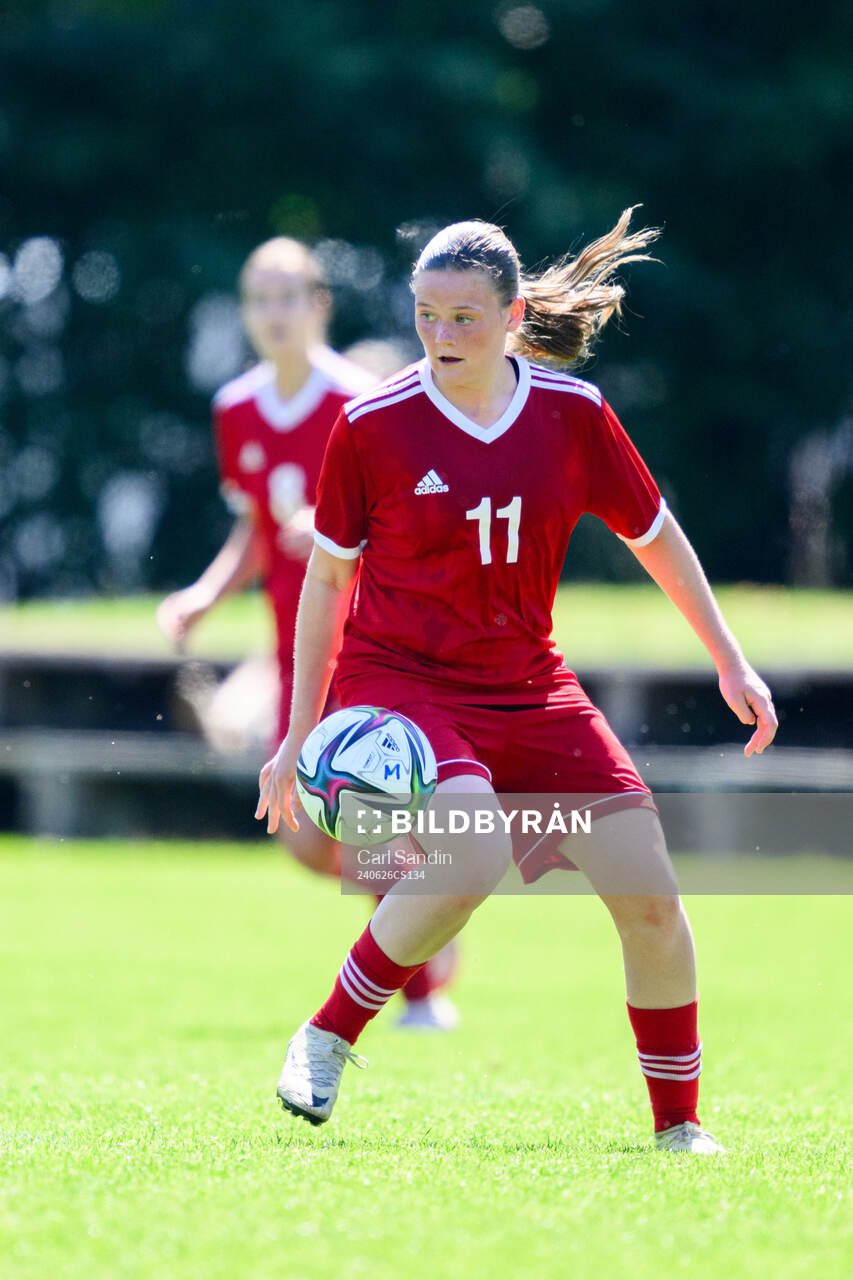Ellie Junetoft, Hammarby IF FF