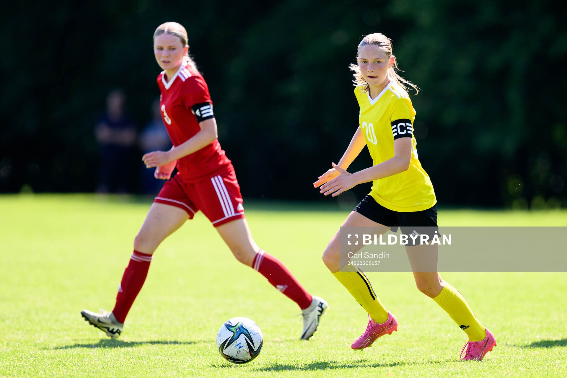 Stina Hestholm, Västerviks damfotboll IF