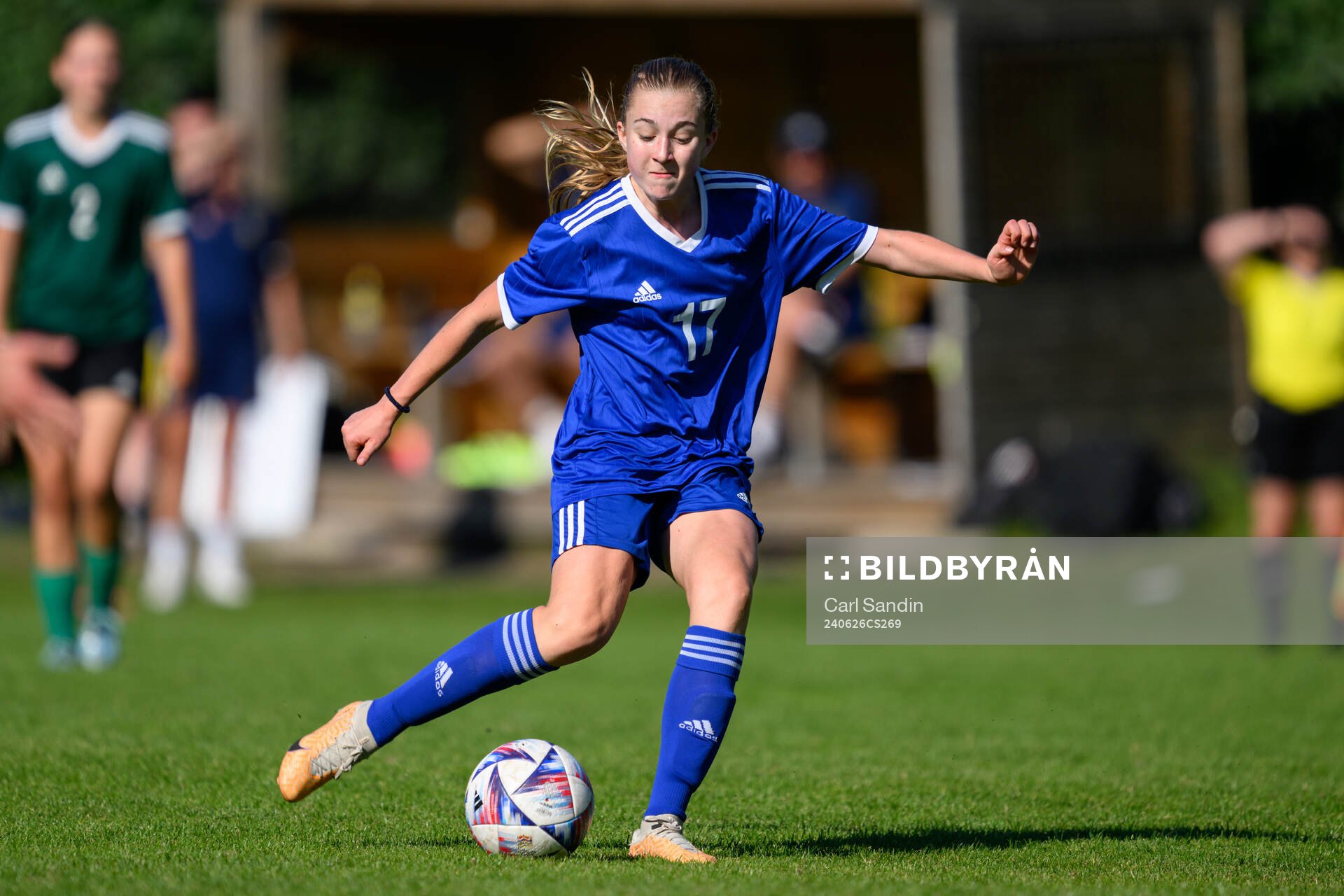 Matilda Warne, Hammarby IF FF