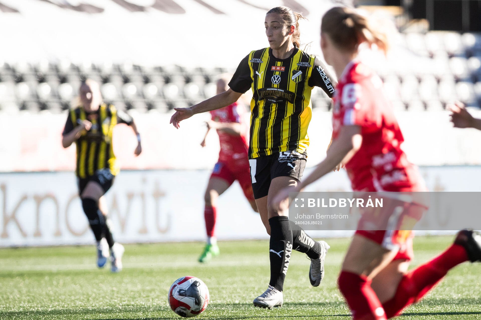 Häckens Rusul Rosa Kafaji