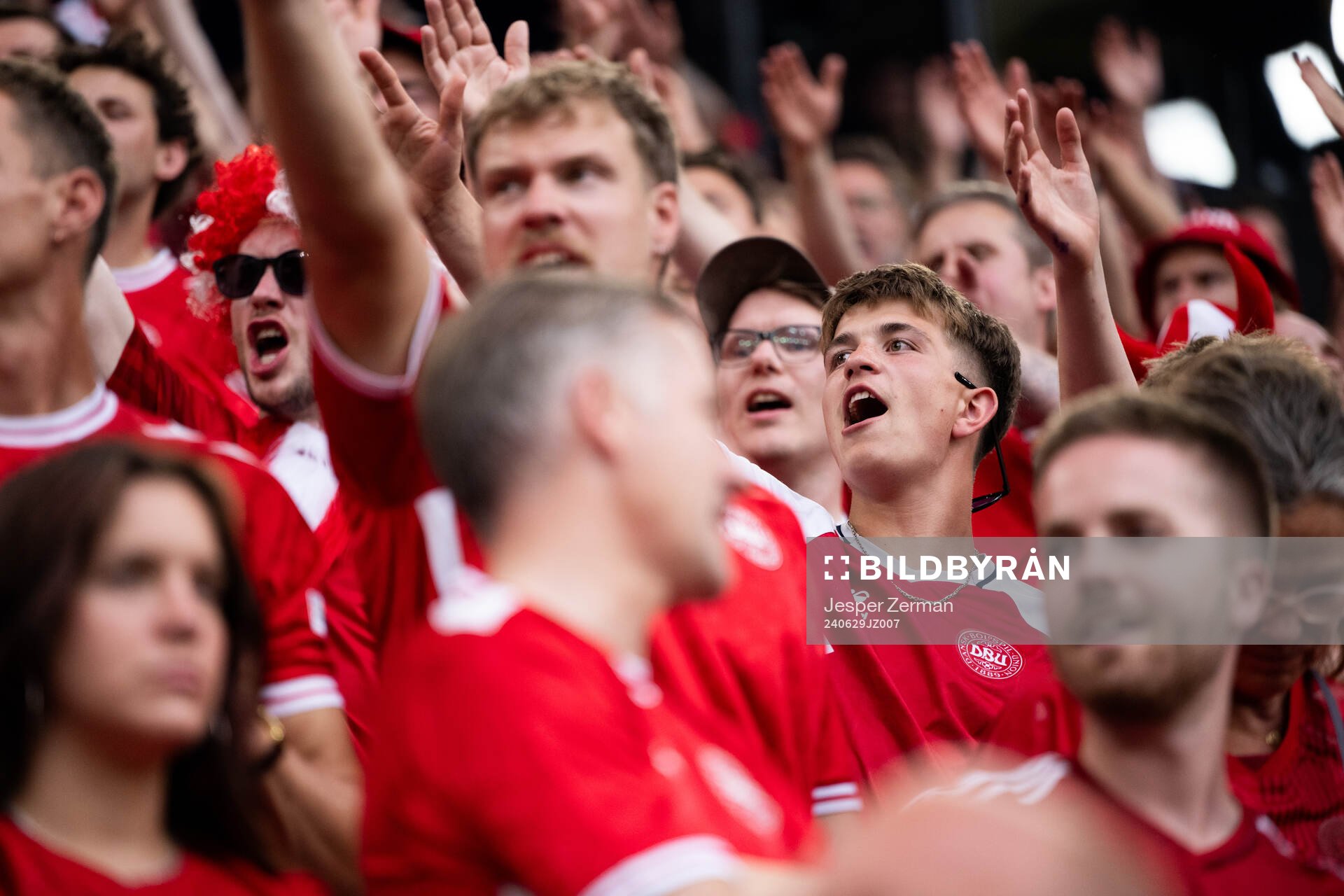 Supporters of Denmark