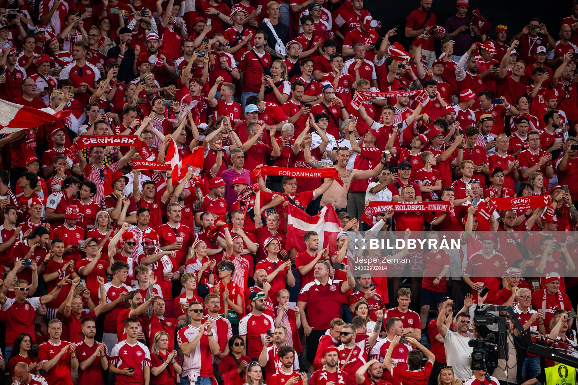 Supporters of Denmark
