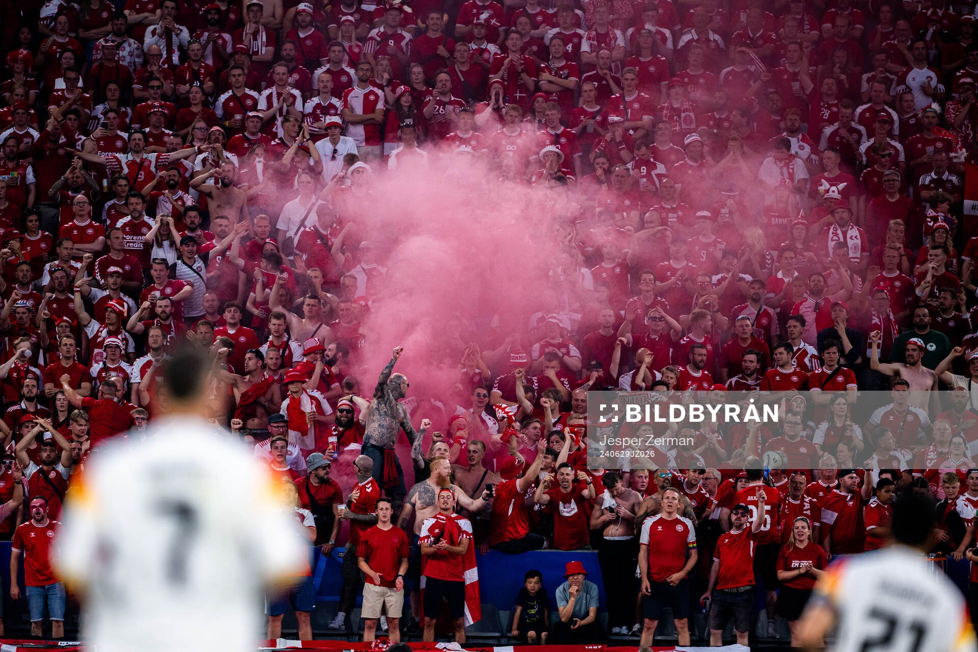 Supporters of Denmark