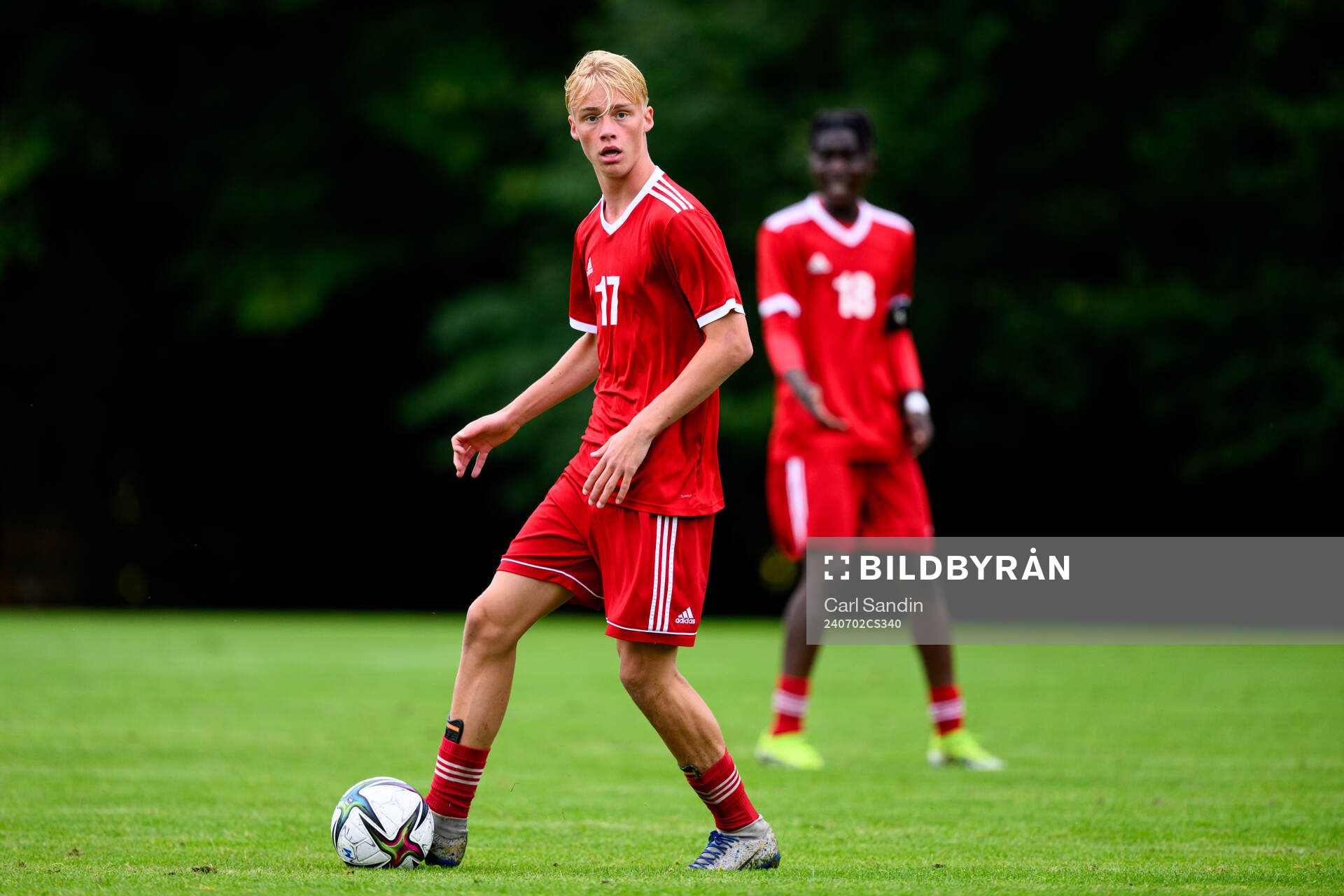 Wilmer Johansson, IF Elfsborg