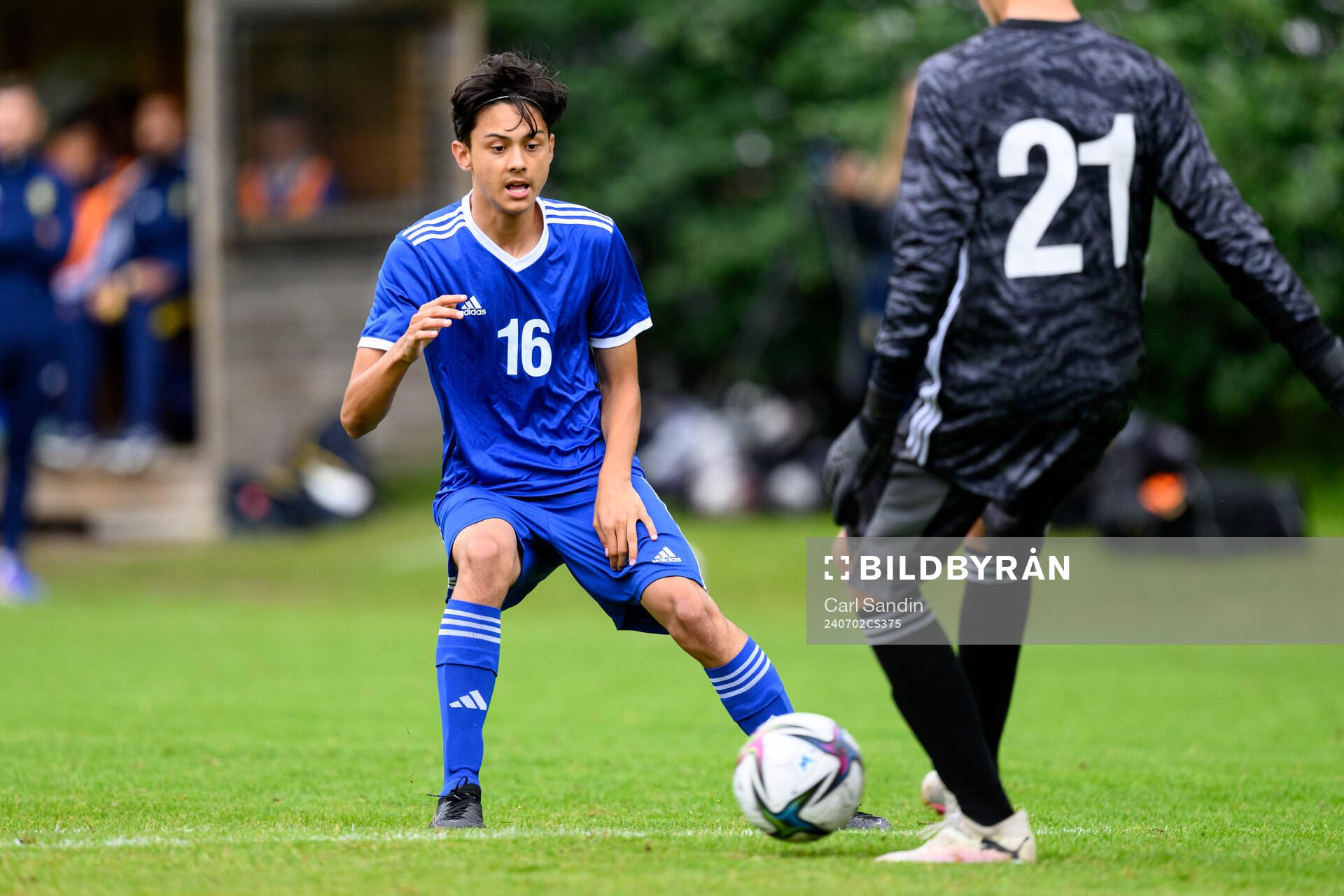 Jonathan Börjesson, Hammarby IF FF