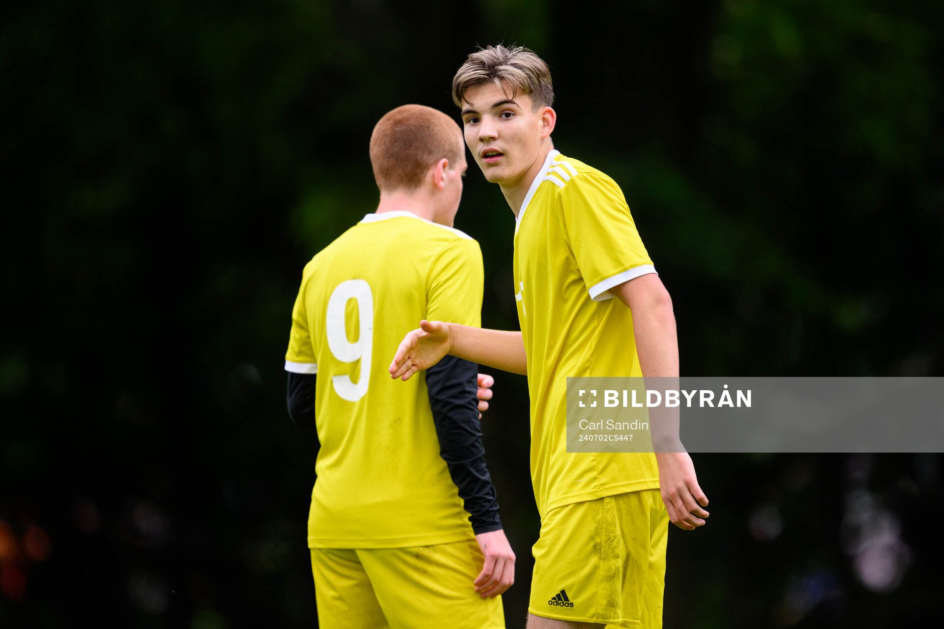 Luka Bolbotinovic, Djurgårdens IF FF