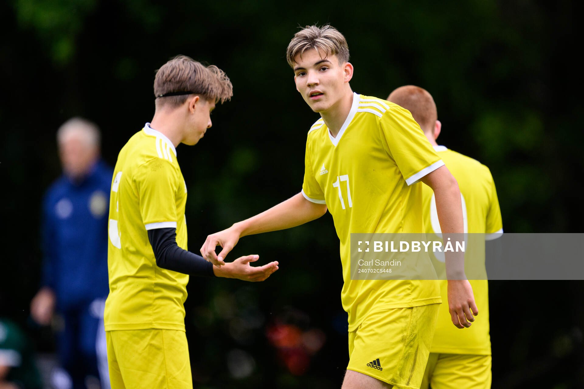 Luka Bolbotinovic, Djurgårdens IF FF