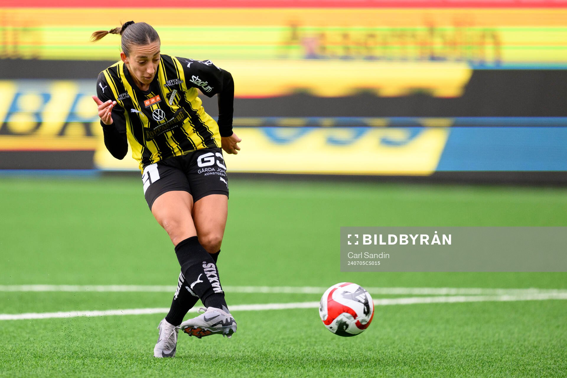 Häckens Rusul Rosa Kafaji