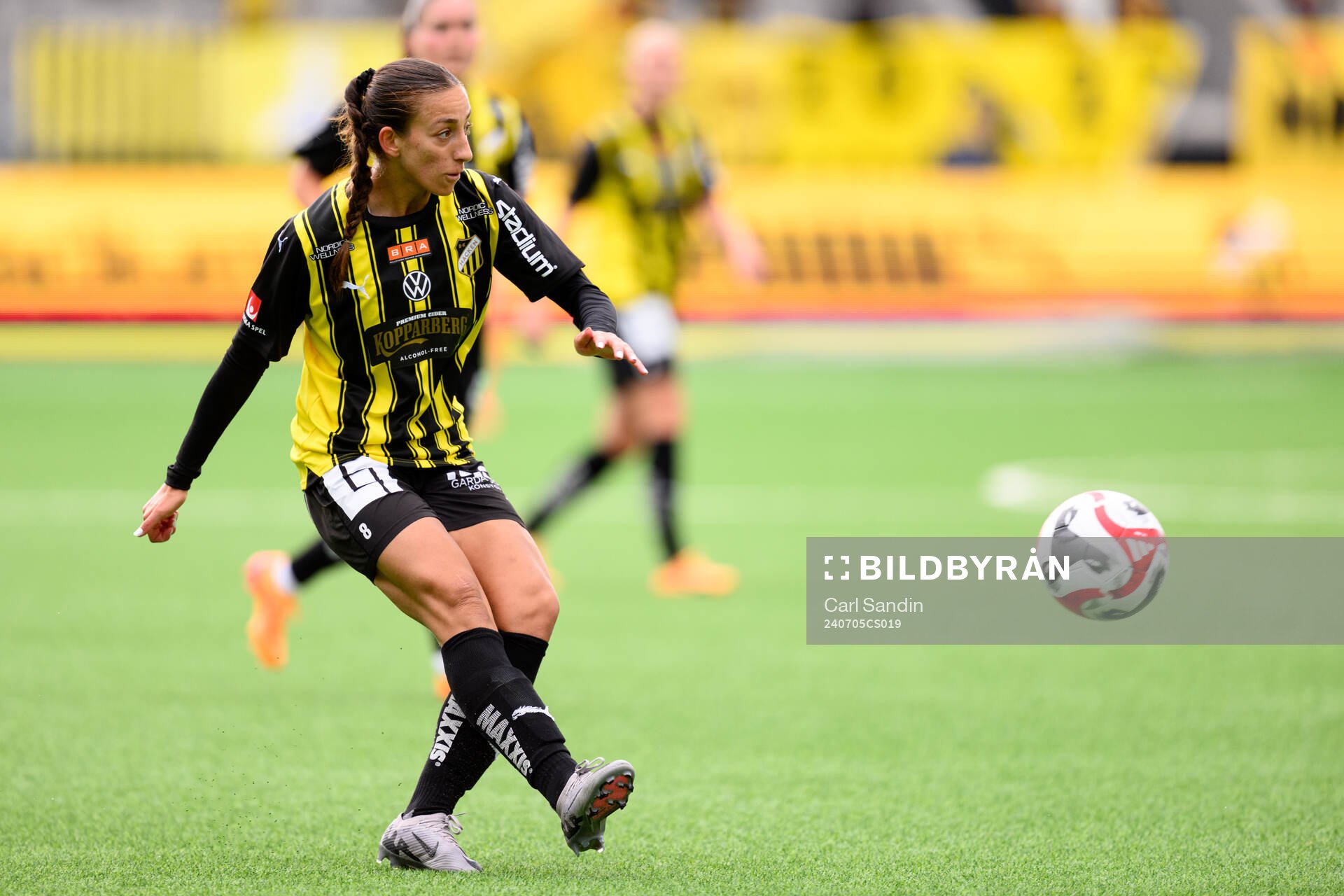 Häckens Rusul Rosa Kafaji