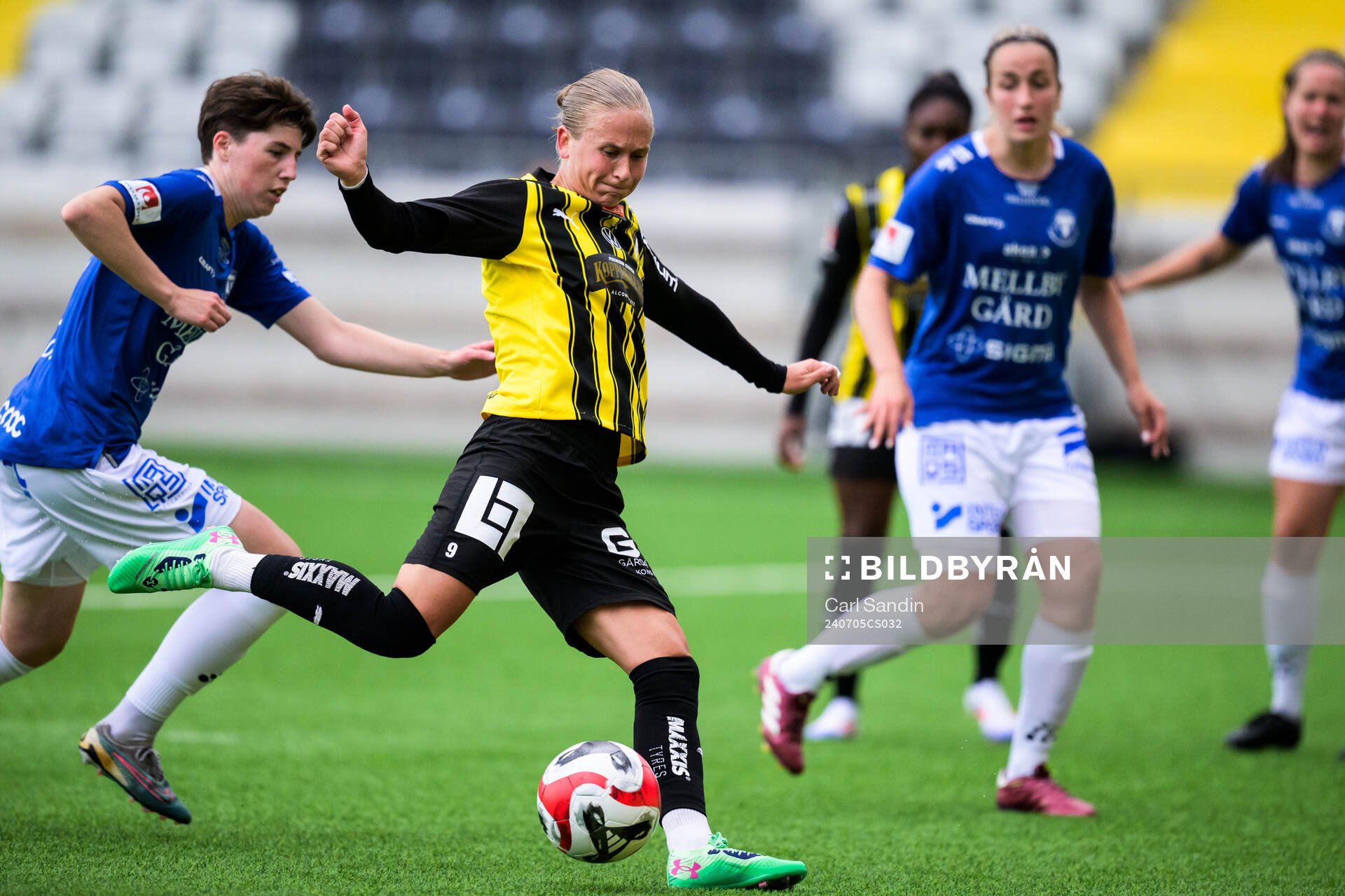 Häckens Filippa Curmark