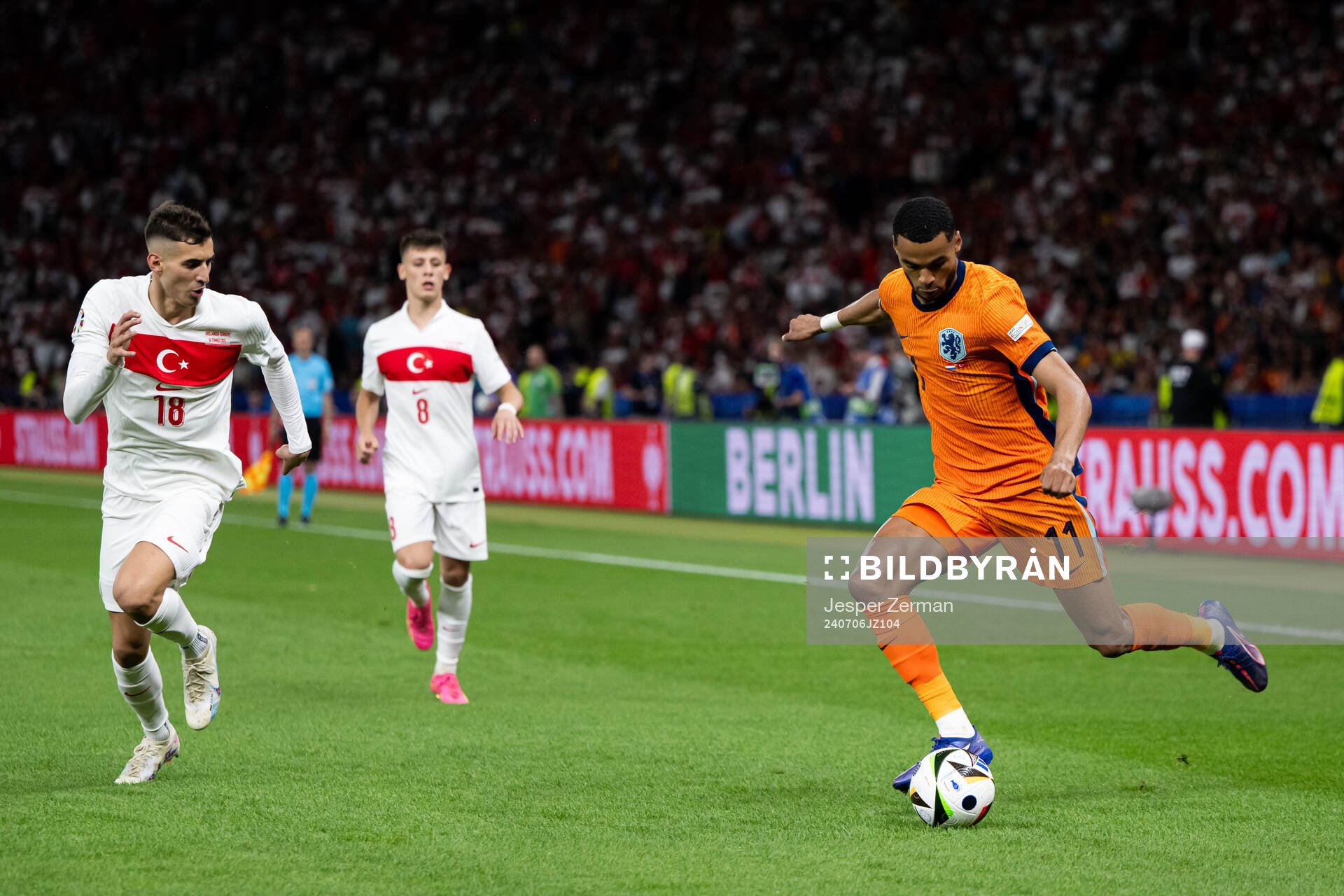 Cody Gakpo of Netherlands