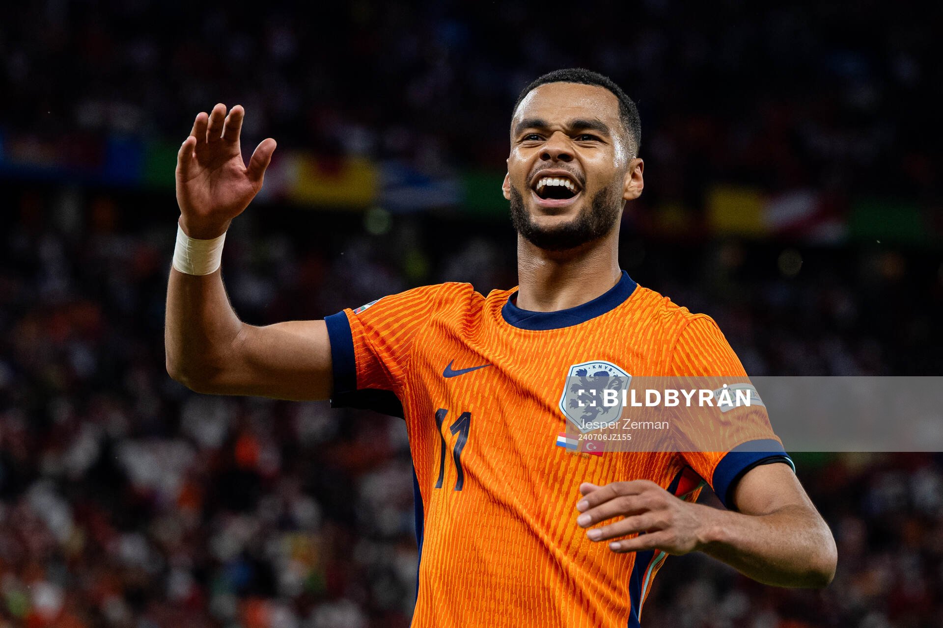 Cody Gakpo of Netherlands celebrates