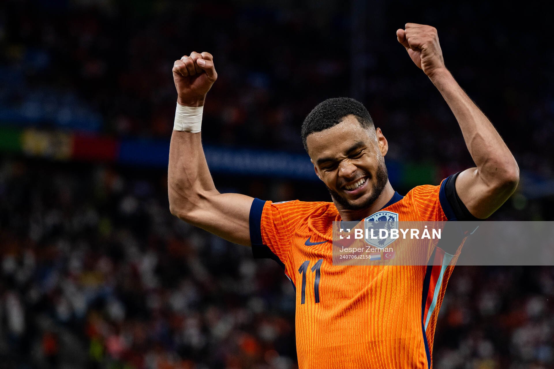 Cody Gakpo of Netherlands celebrates