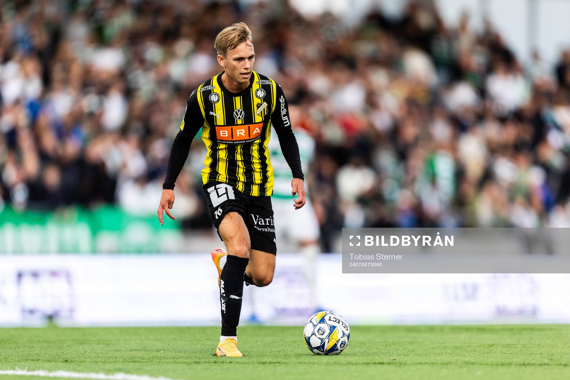 Häckens Pontus Dahbo