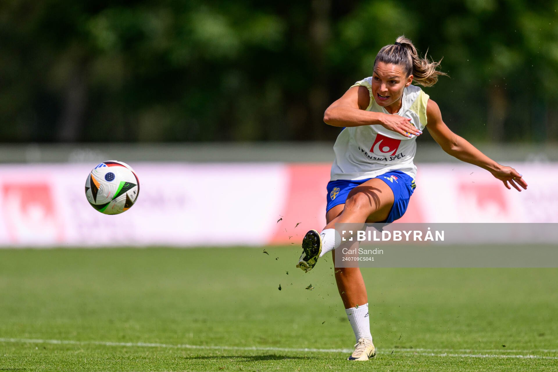 Johanna Rytting Kaneryd
